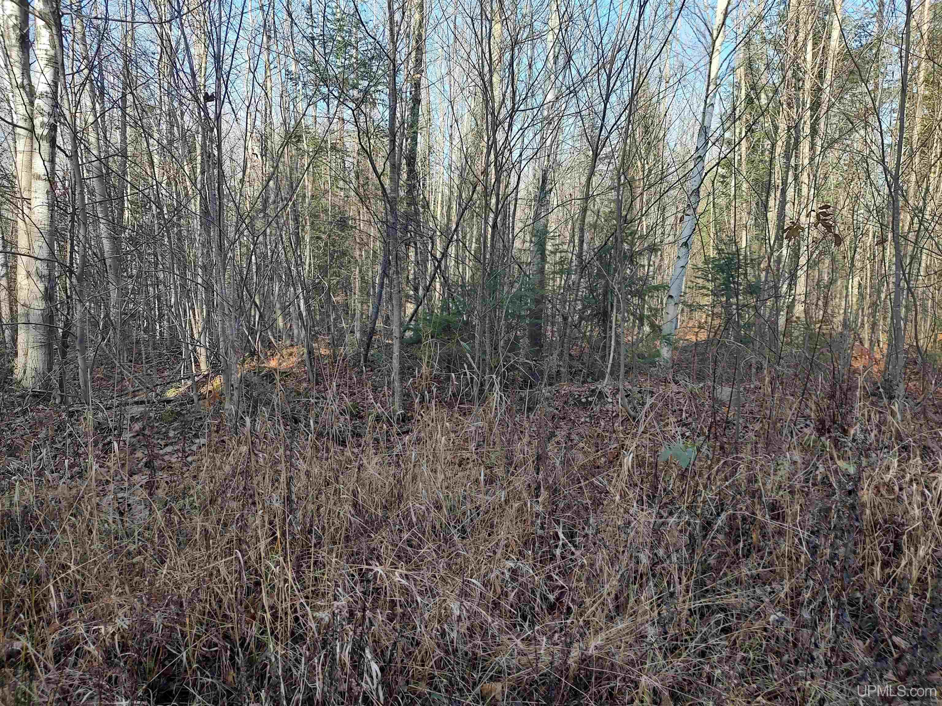Tbd Billie Helmer Road Property Photo 4