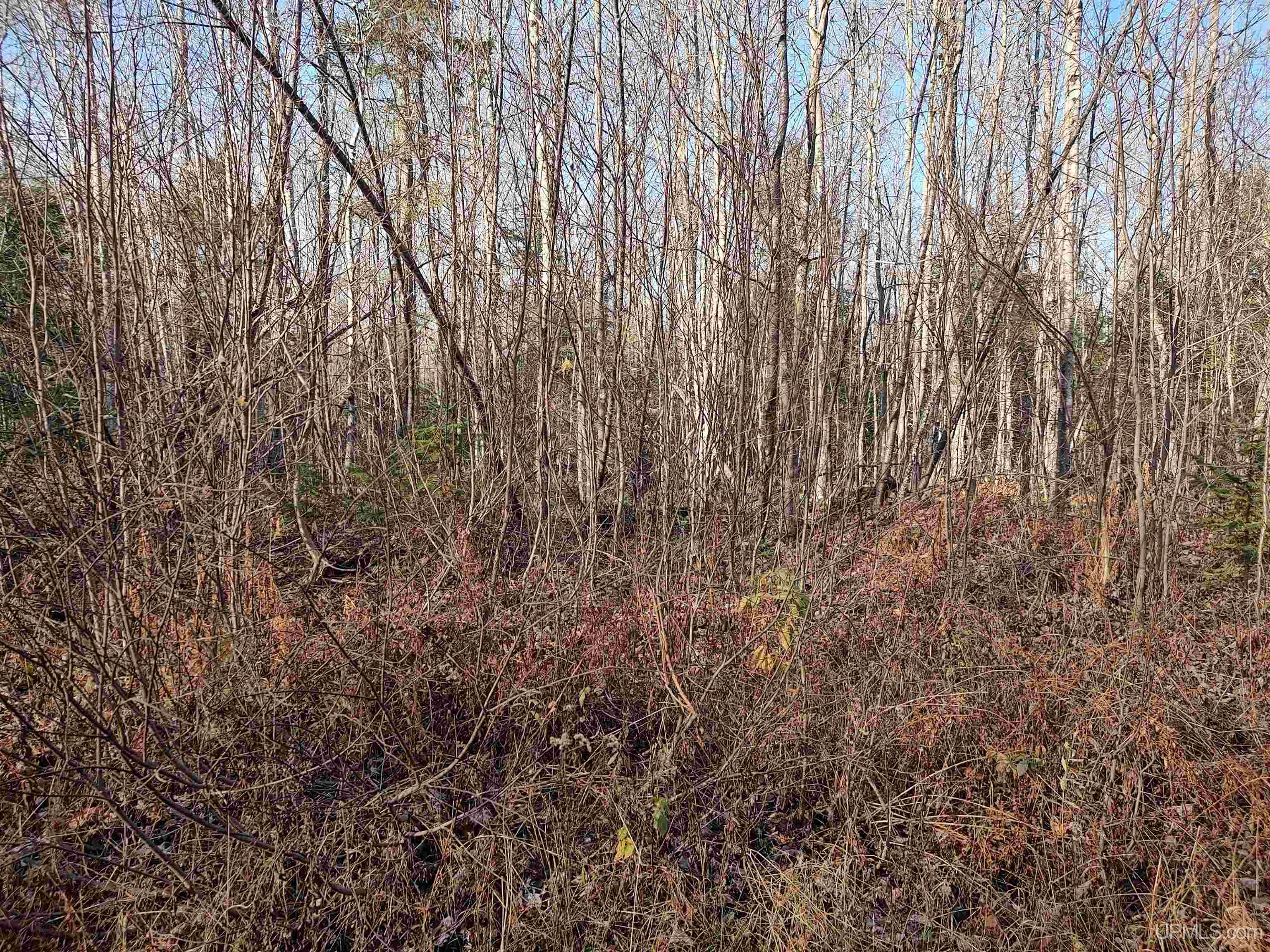 Tbd Billie Helmer Road Property Photo 5