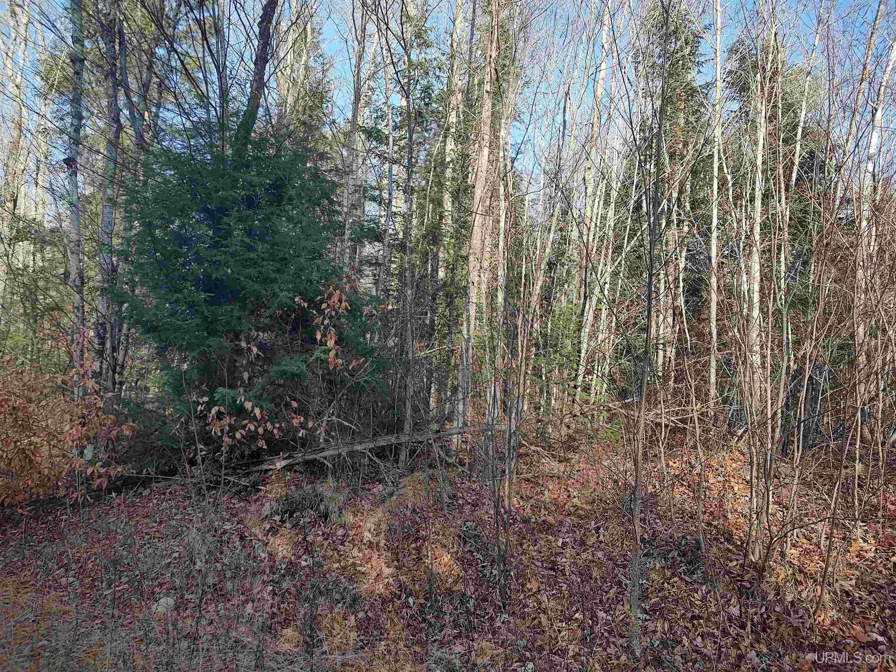 Tbd Billie Helmer Road Property Photo 6