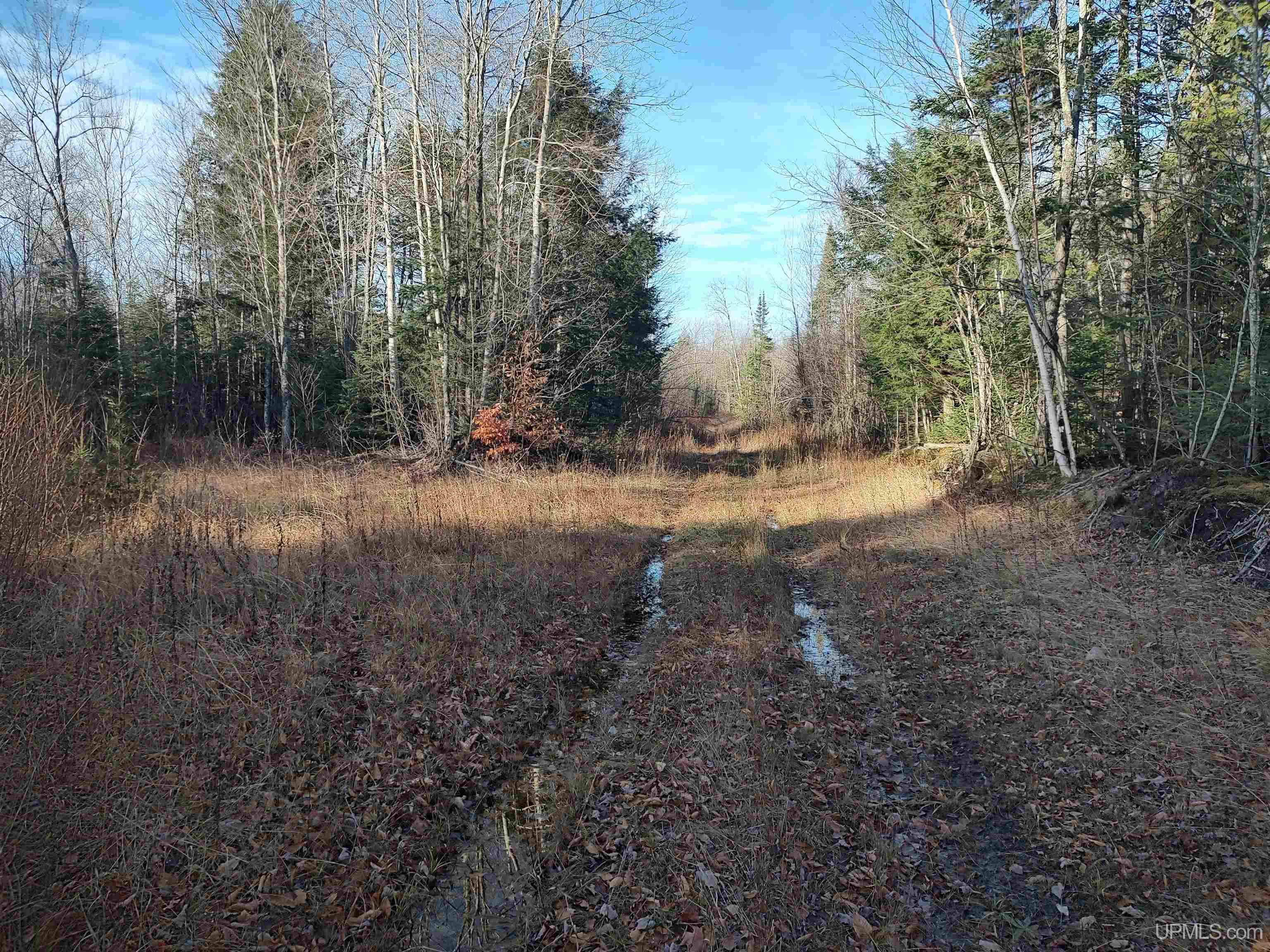Tbd Billie Helmer Road Property Photo 7