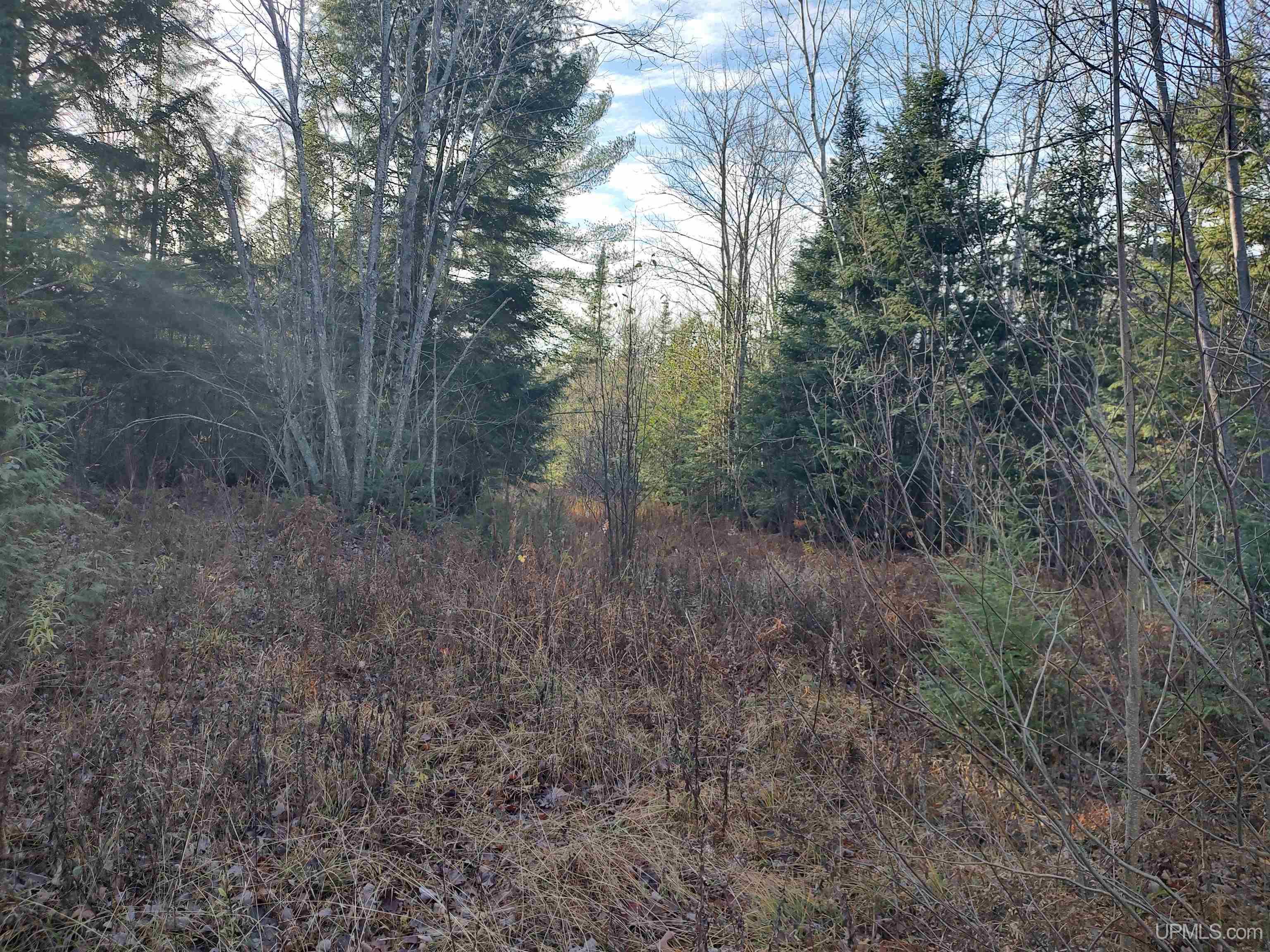 Tbd Billie Helmer Road Property Photo 8