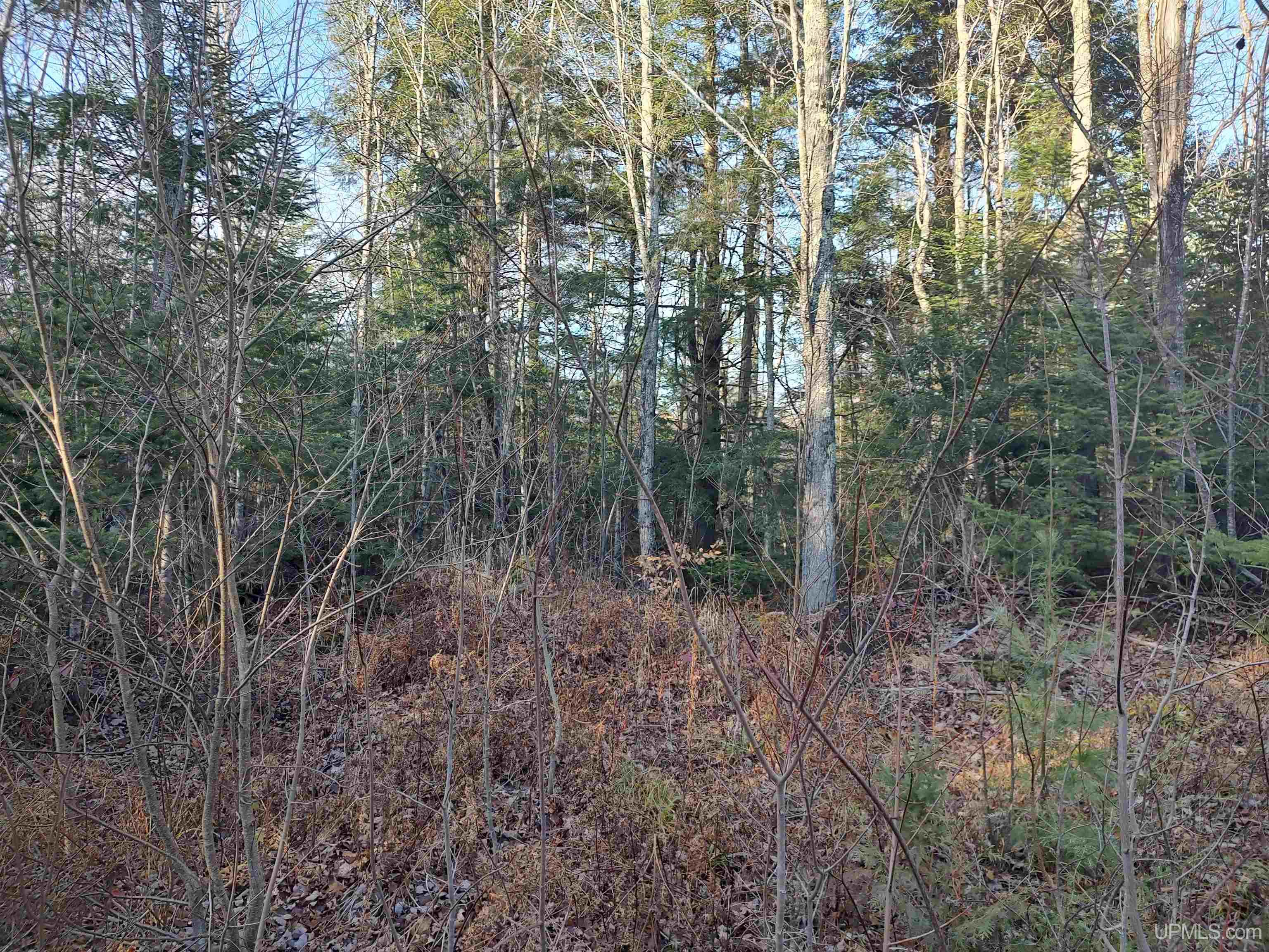 Tbd Billie Helmer Road Property Photo 9