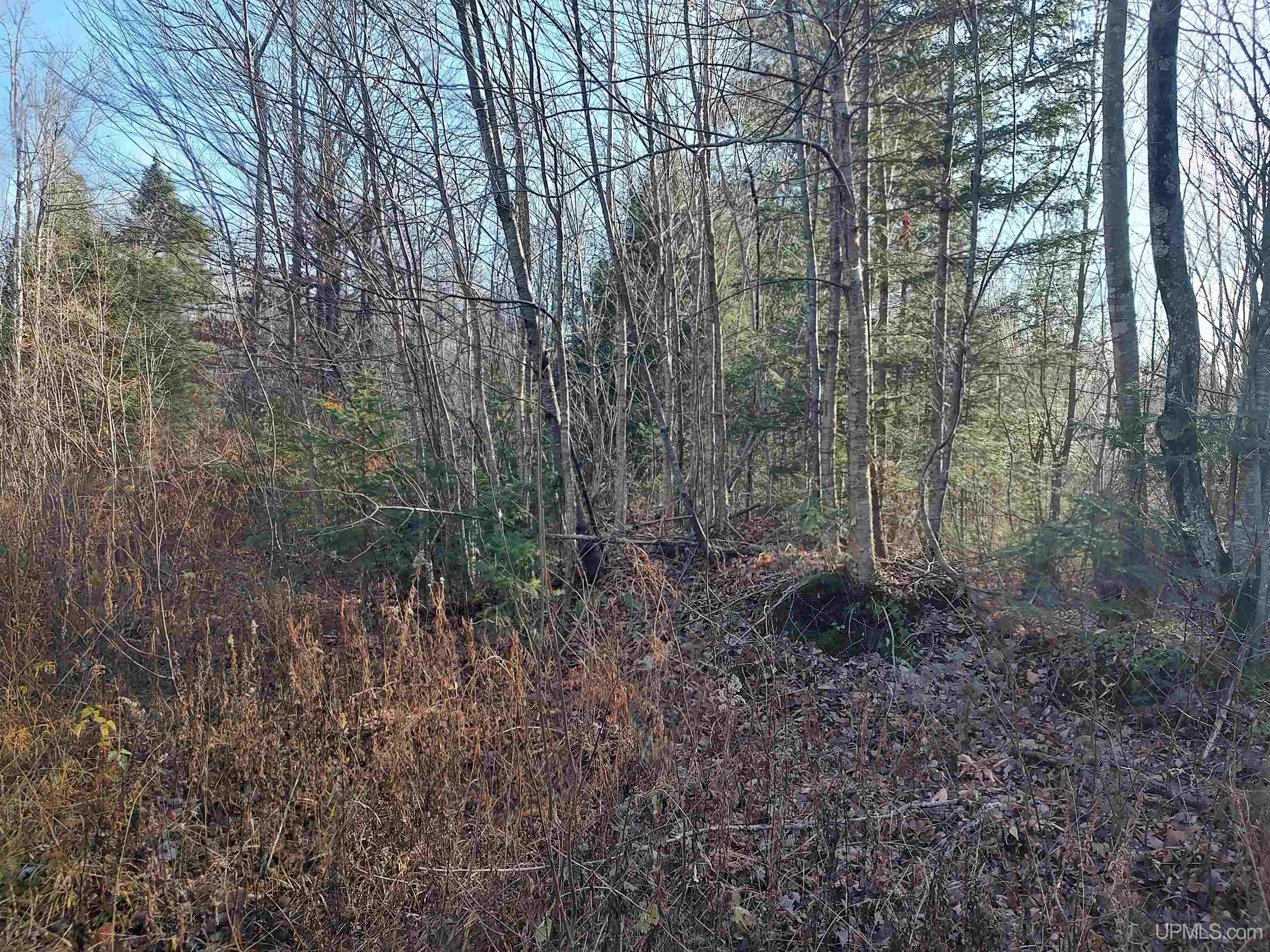 Tbd Billie Helmer Road Property Photo 10