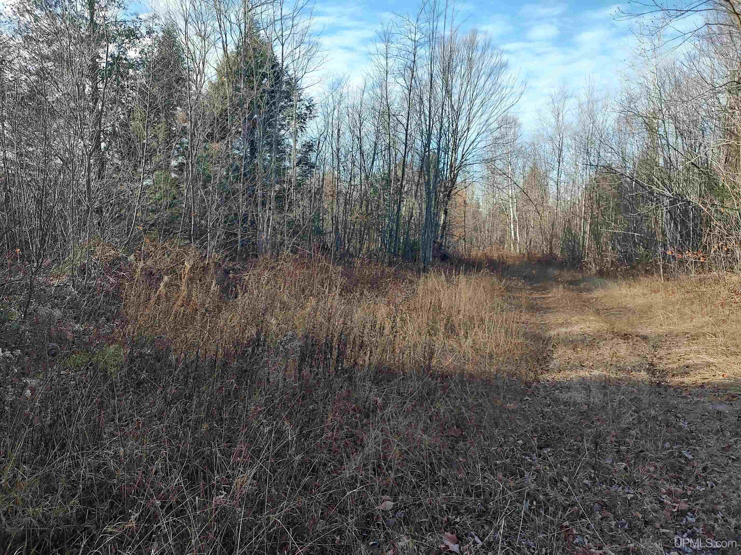 Tbd Billie Helmer Road Property Photo 11