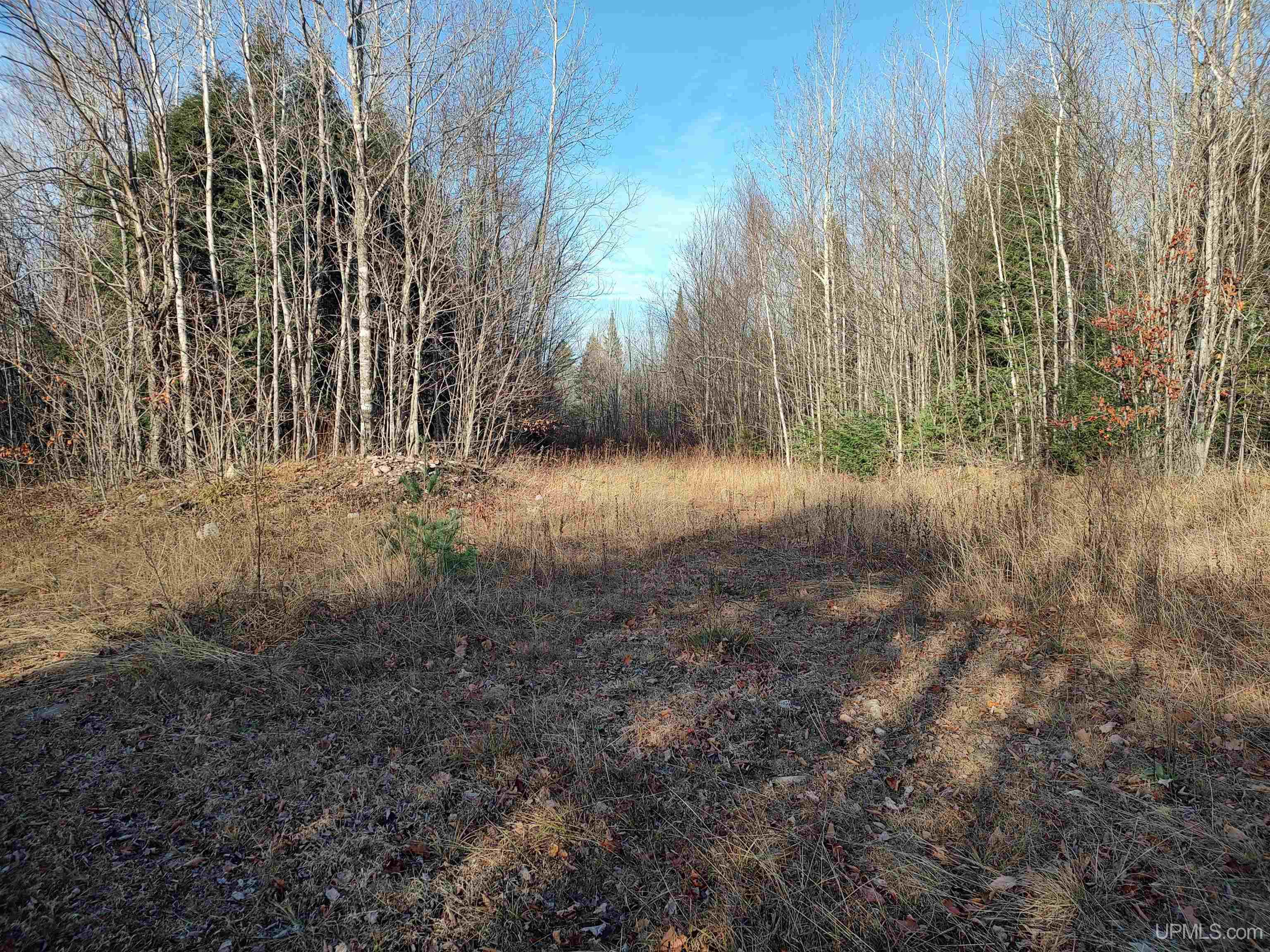 Tbd Billie Helmer Road Property Photo 12