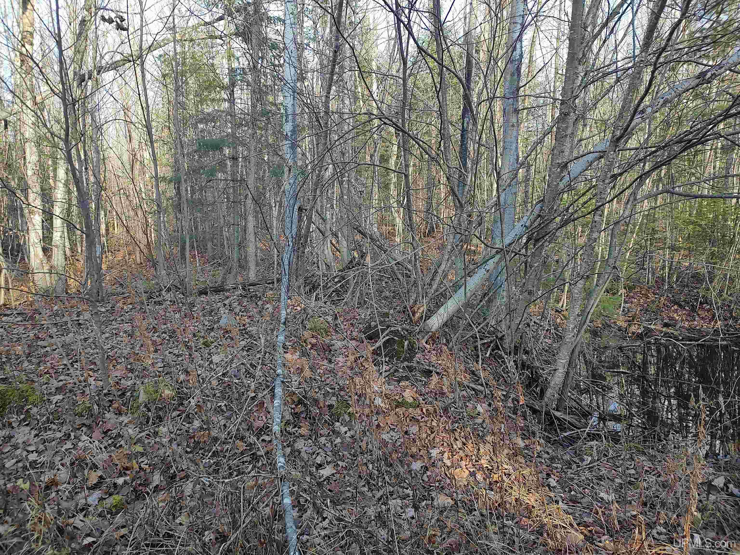Tbd Billie Helmer Road Property Photo 13