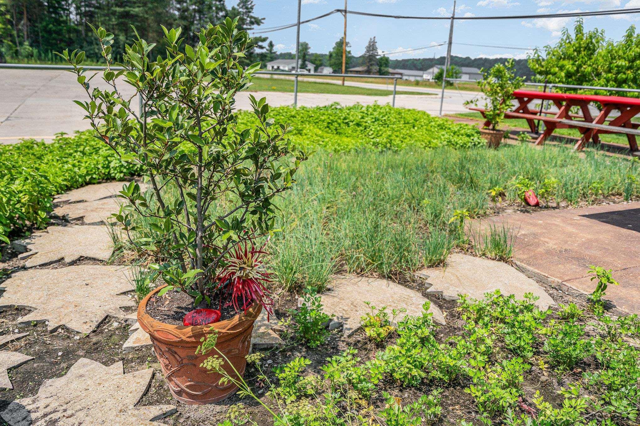 13105 Gratiot Road Property Photo 28