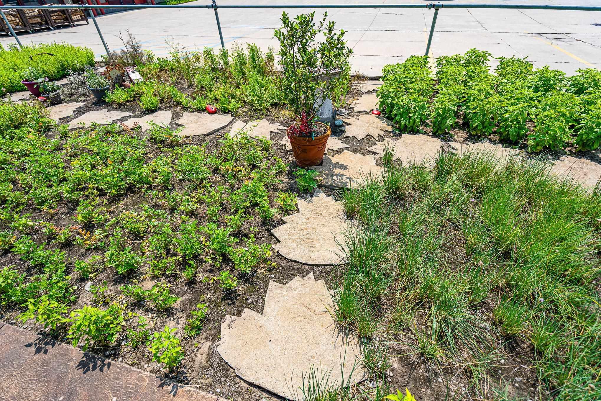 13105 Gratiot Road Property Photo 29