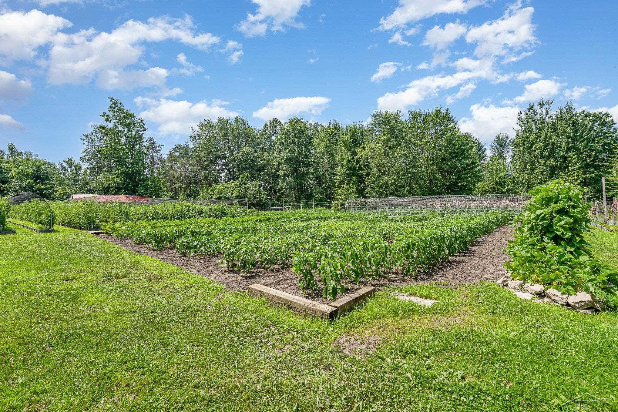13105 Gratiot Road Property Photo 35