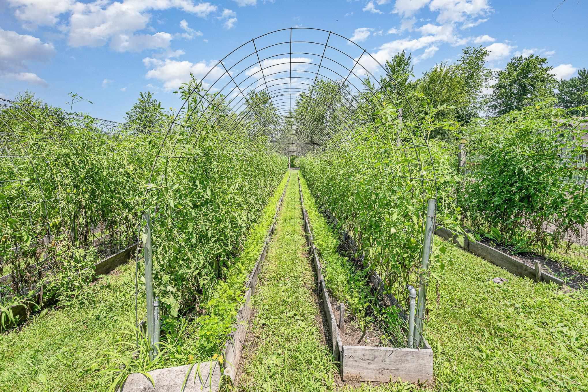 13105 Gratiot Road Property Photo 37