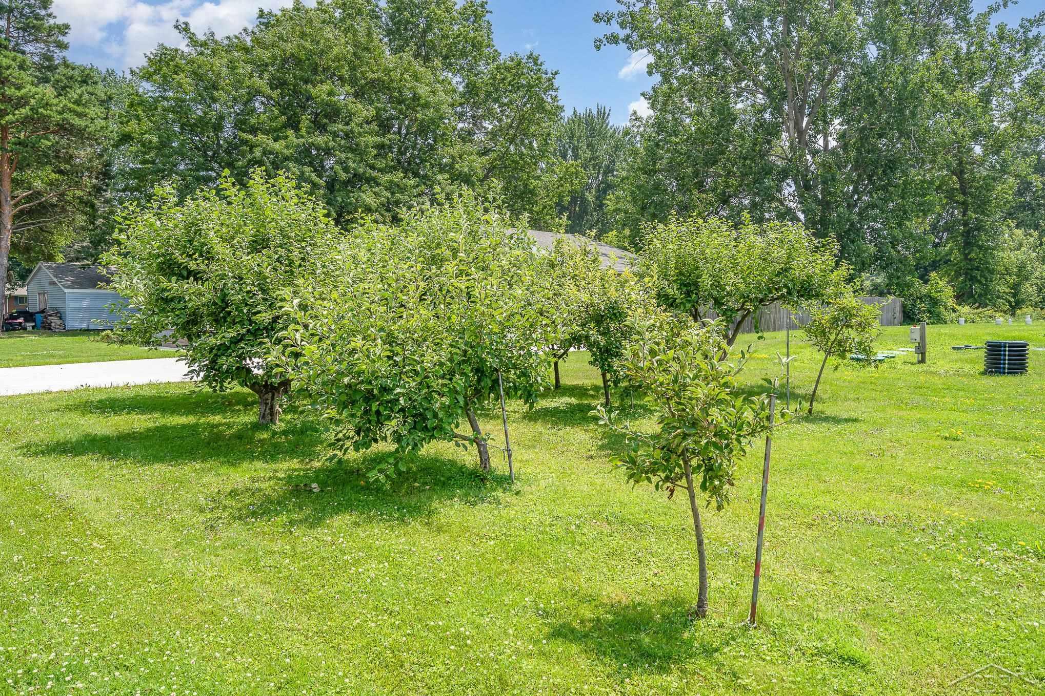 13105 Gratiot Road Property Photo 40