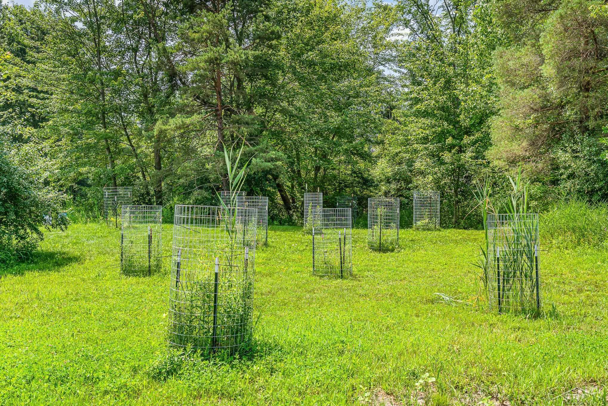 13105 Gratiot Road Property Photo 41