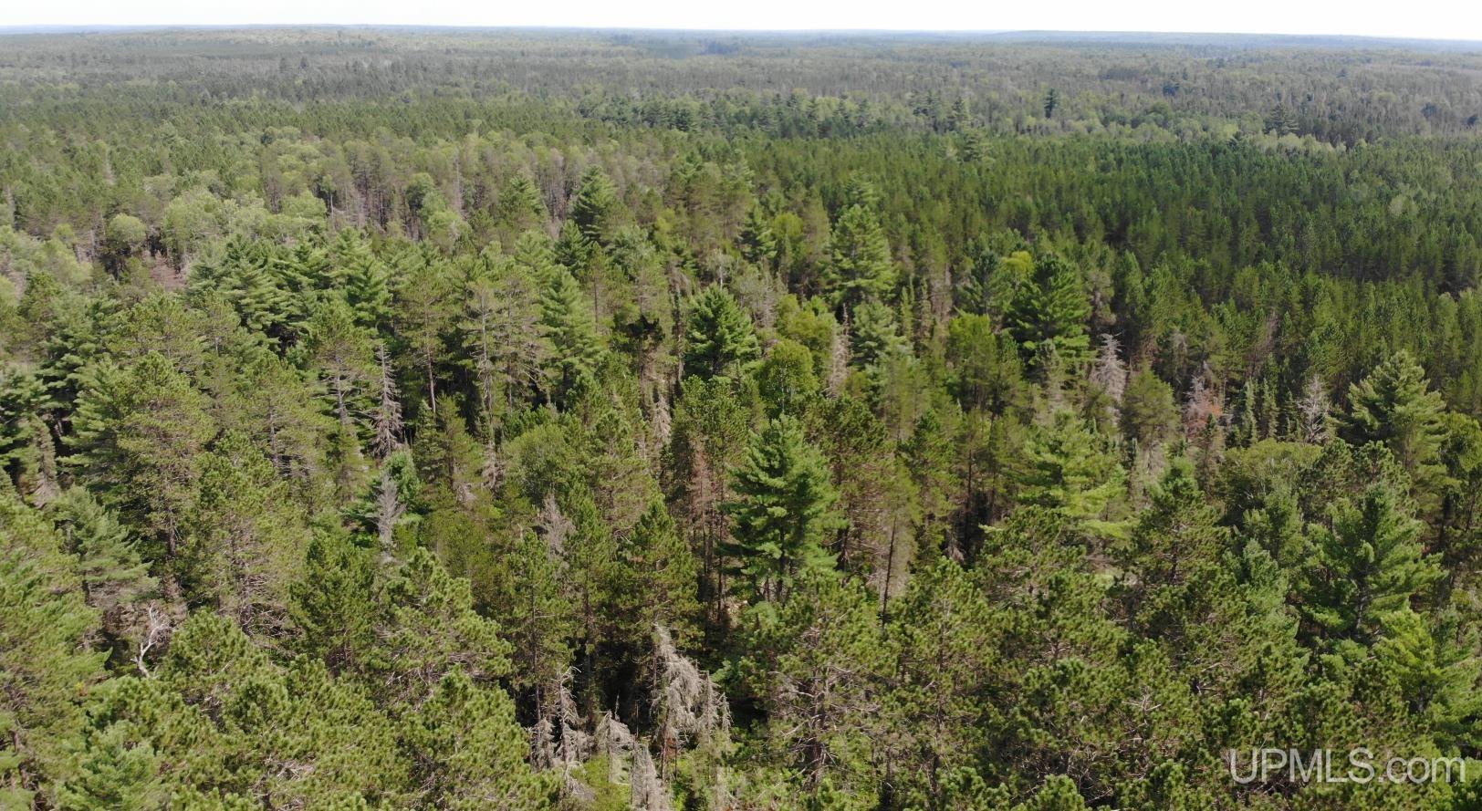 2072 Ff Hwy 16 Road Property Photo 13