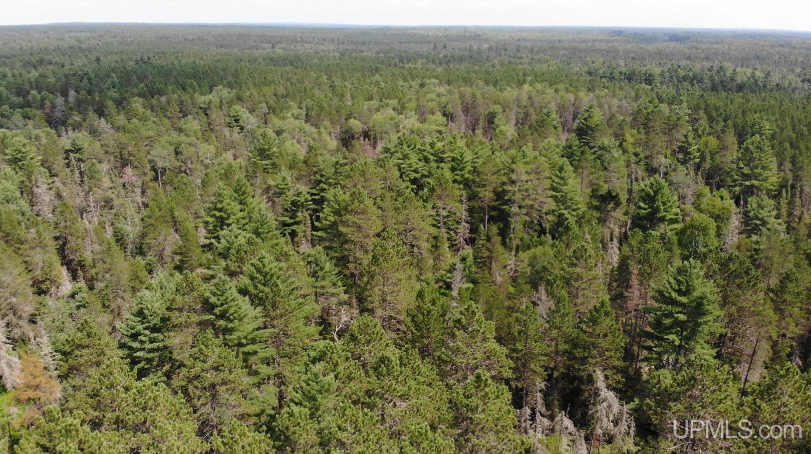 2072 Ff Hwy 16 Road Property Photo 14