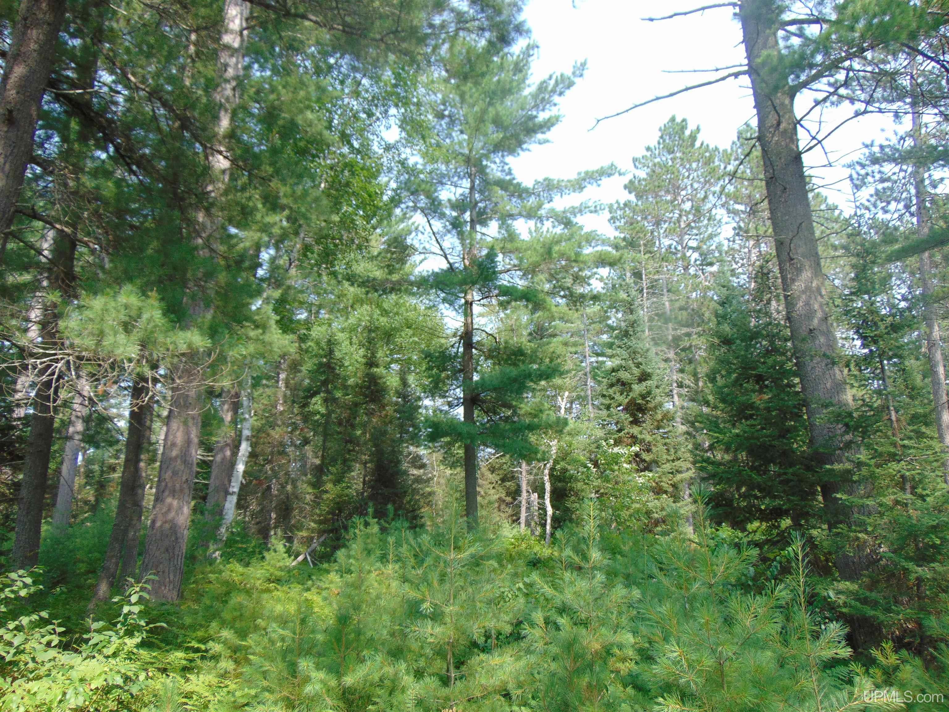 2072 Ff Hwy 16 Road Property Photo 66
