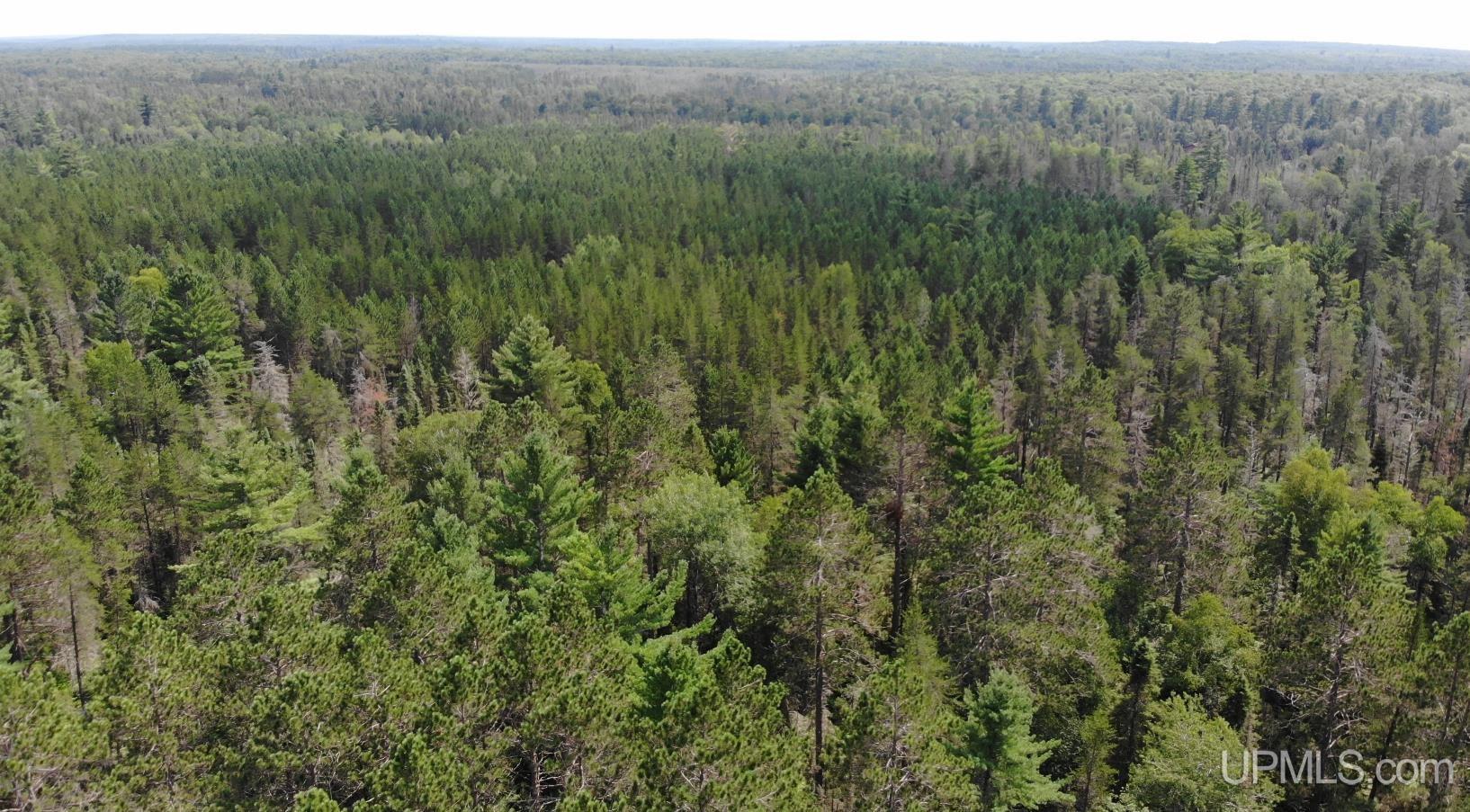 2072 Ff Hwy 16 Road Property Photo 74