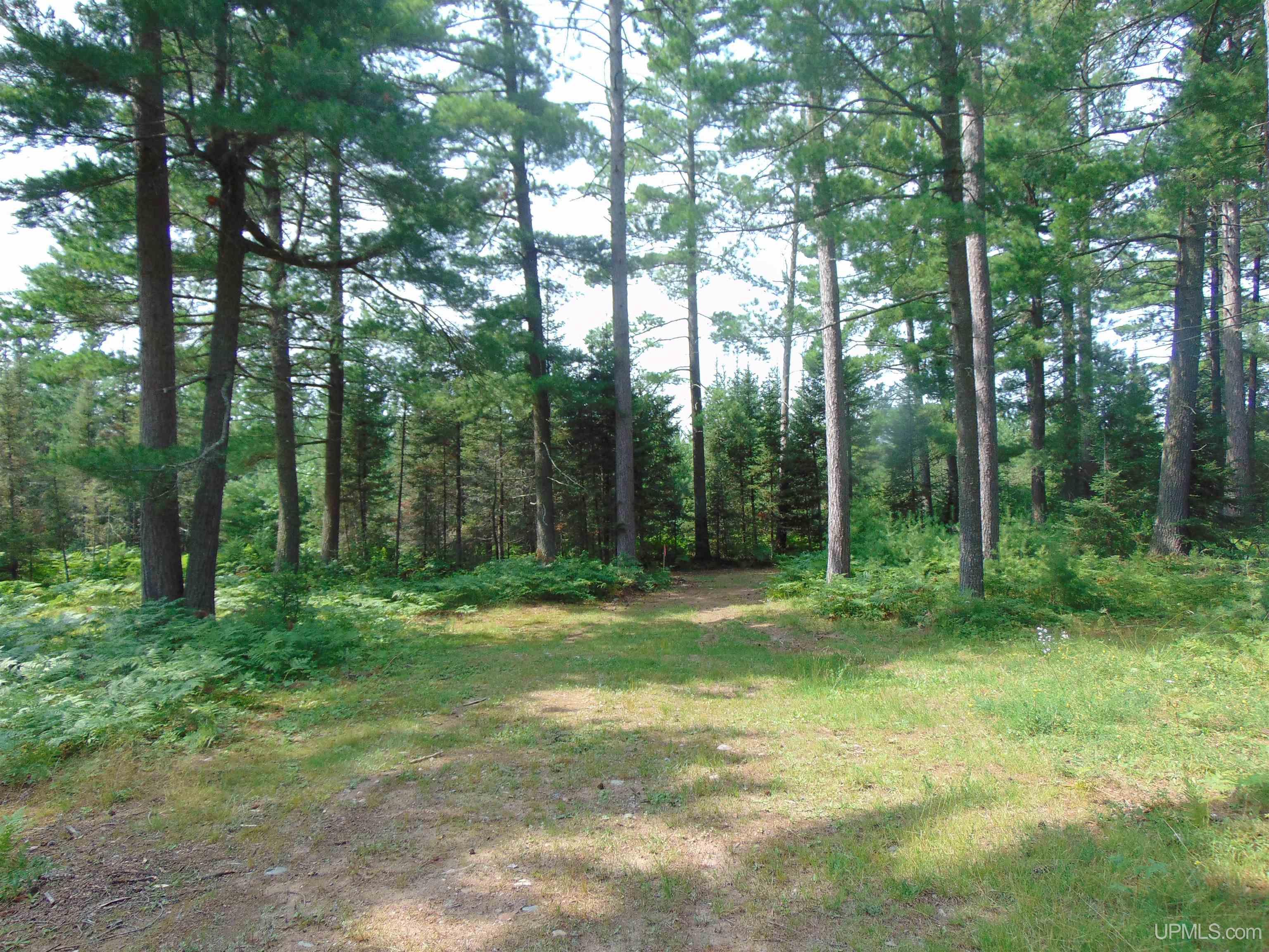 2072 Ff Hwy 16 Road Property Photo 79