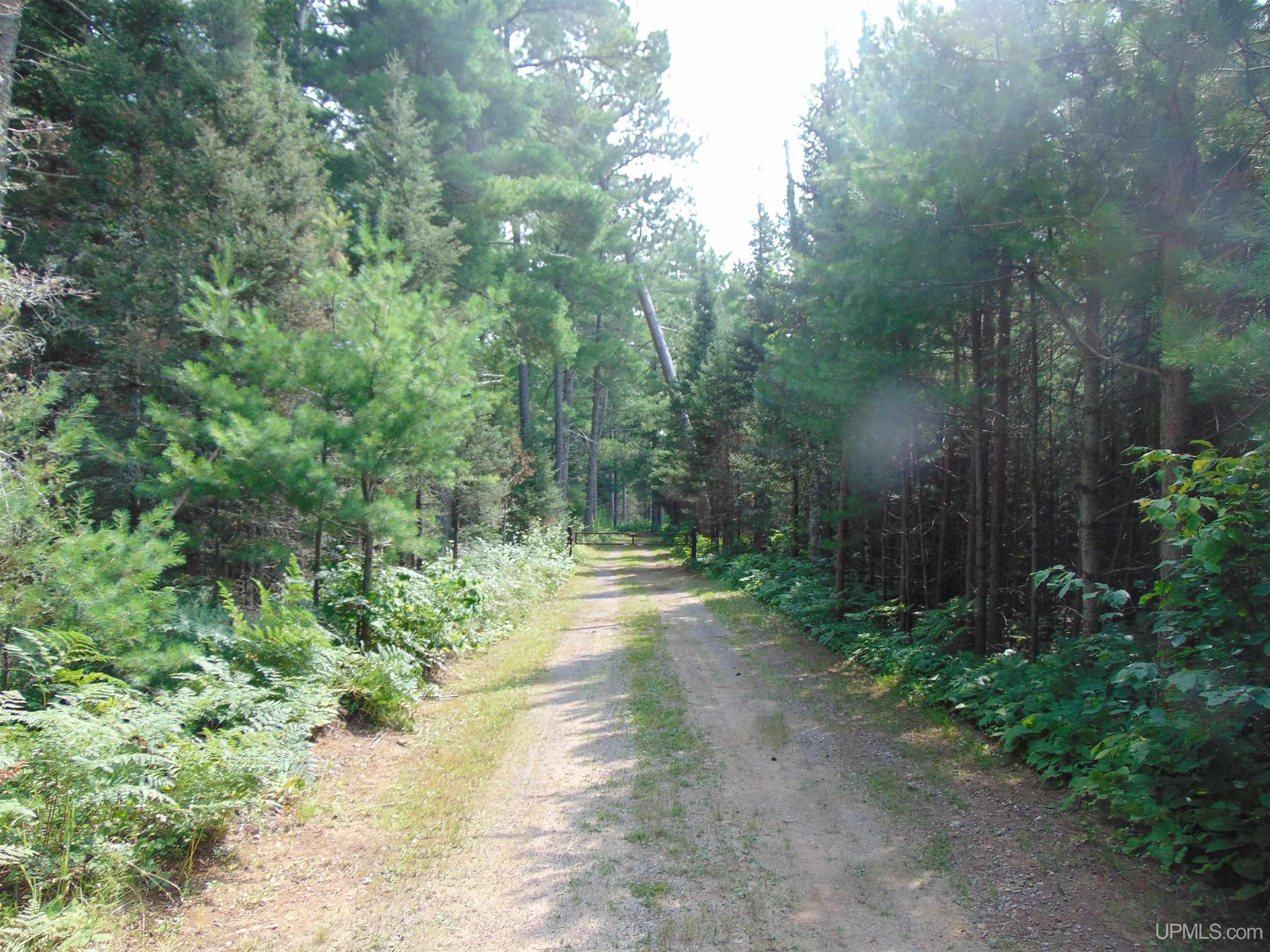 2072 Ff Hwy 16 Road Property Photo 83