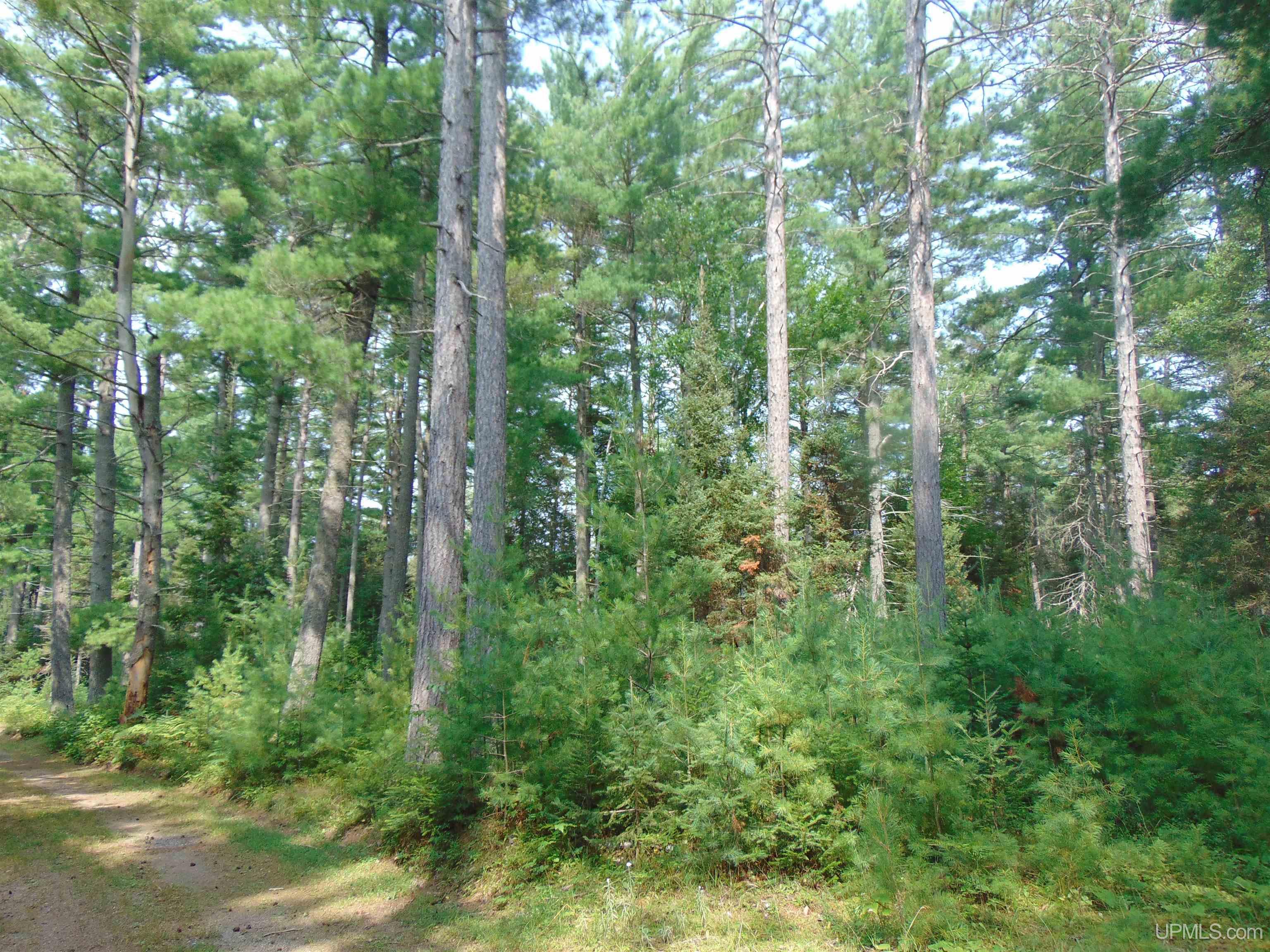 2072 Ff Hwy 16 Road Property Photo 86