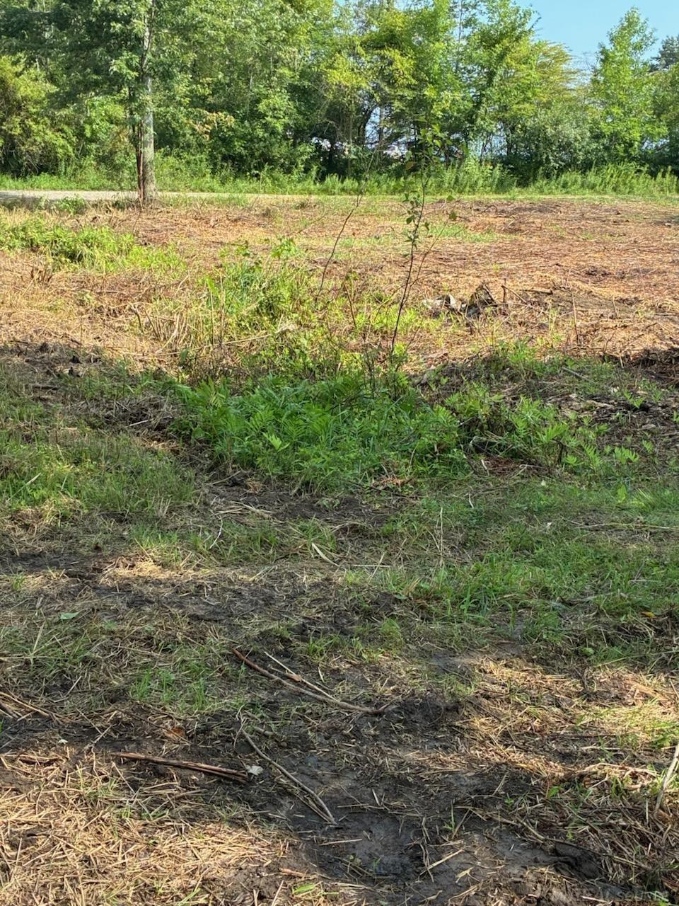 Tbd Vicky Drive Property Photo 4