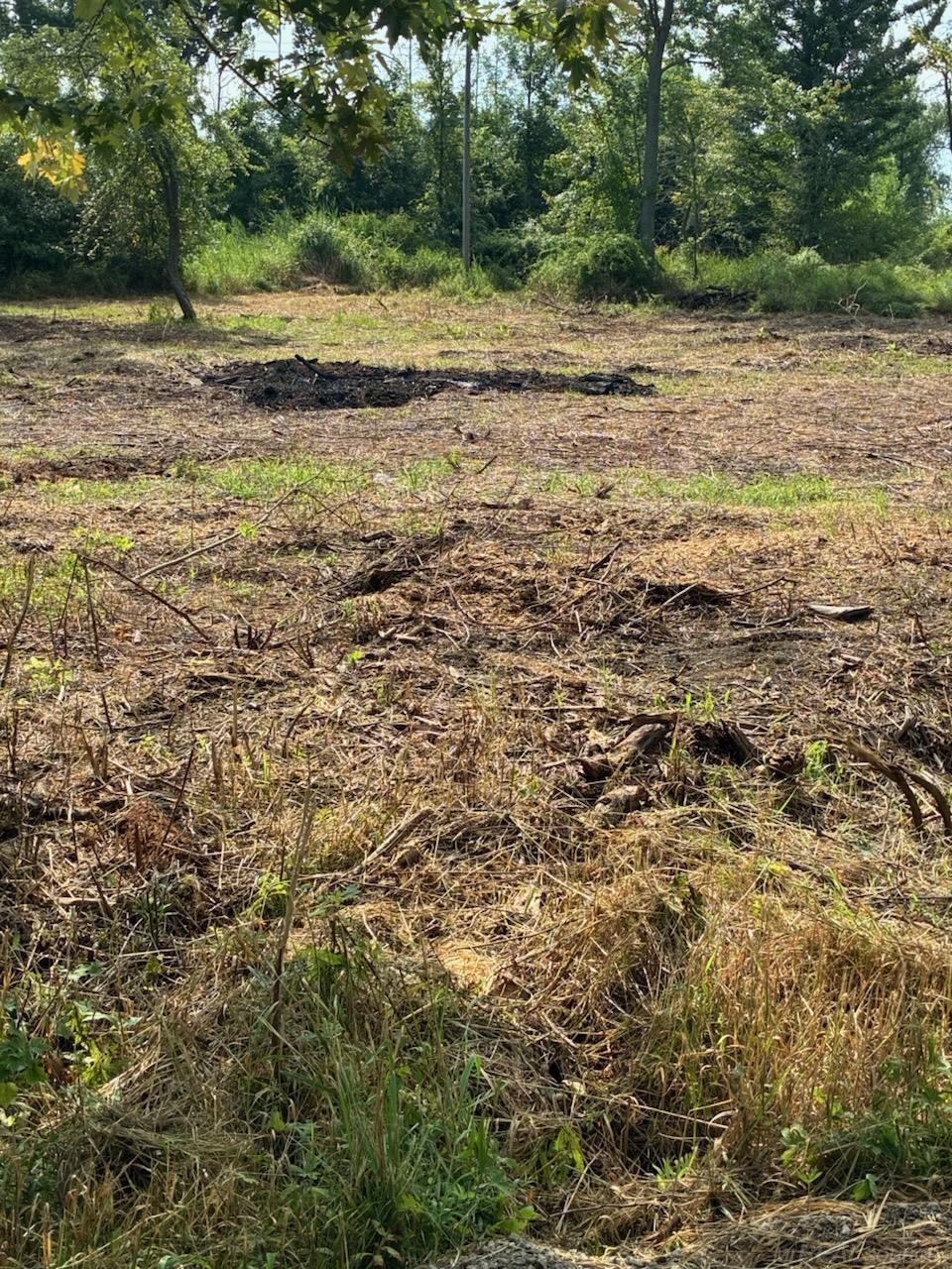 Tbd Vicky Drive Property Photo 5