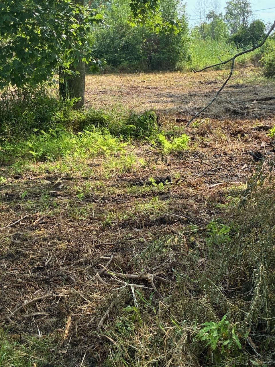 Tbd Vicky Drive Property Photo 6