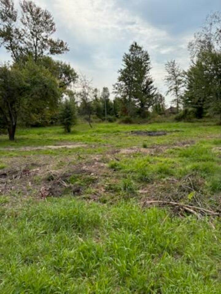 Tbd Vicky Drive Property Photo 7