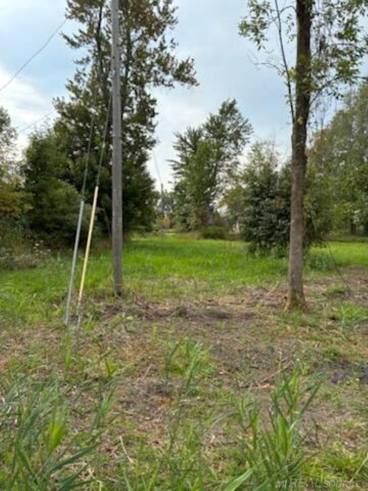 Tbd Vicky Drive Property Photo 8