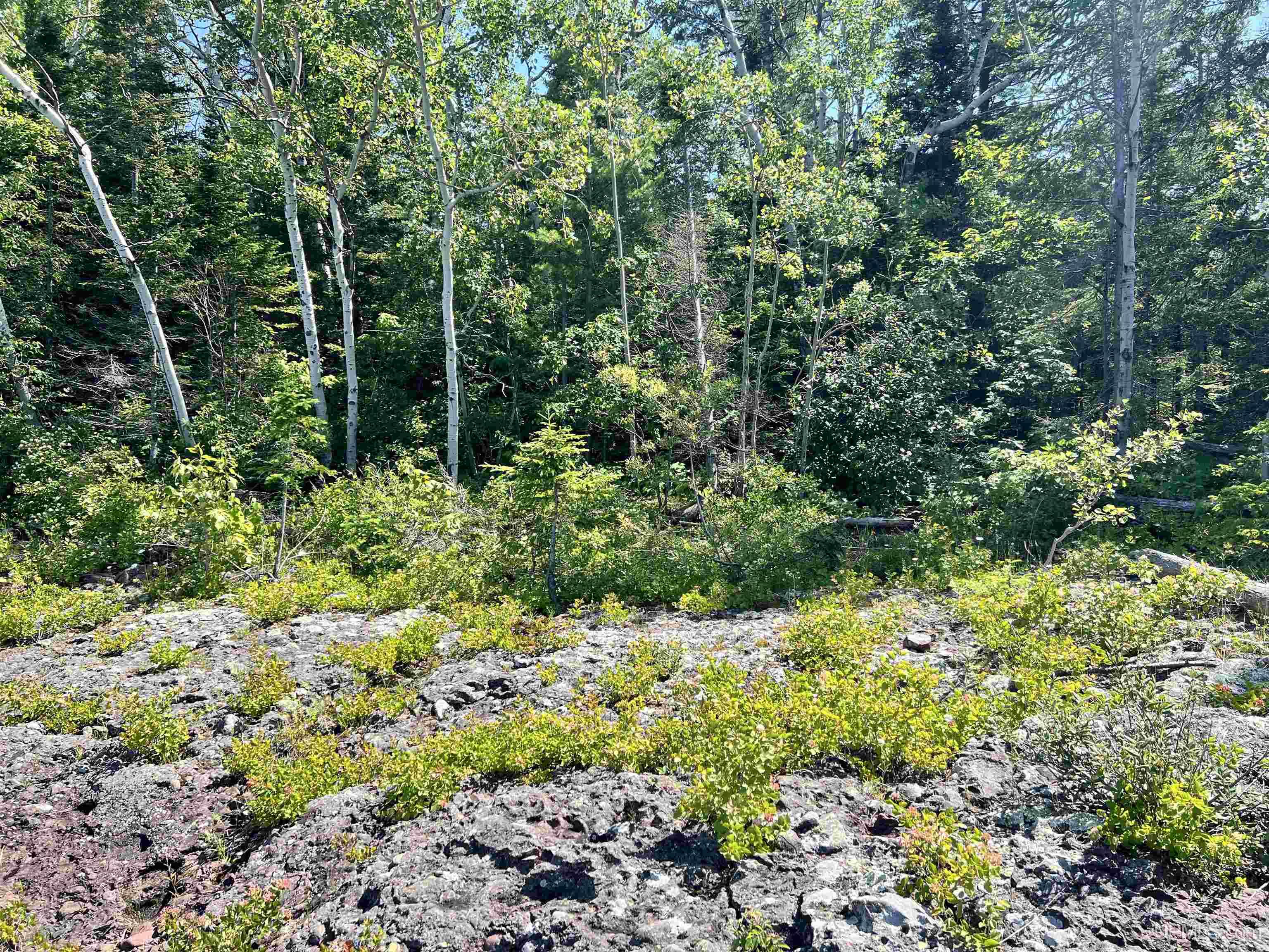 Tbd M26 Highway Property Photo 15