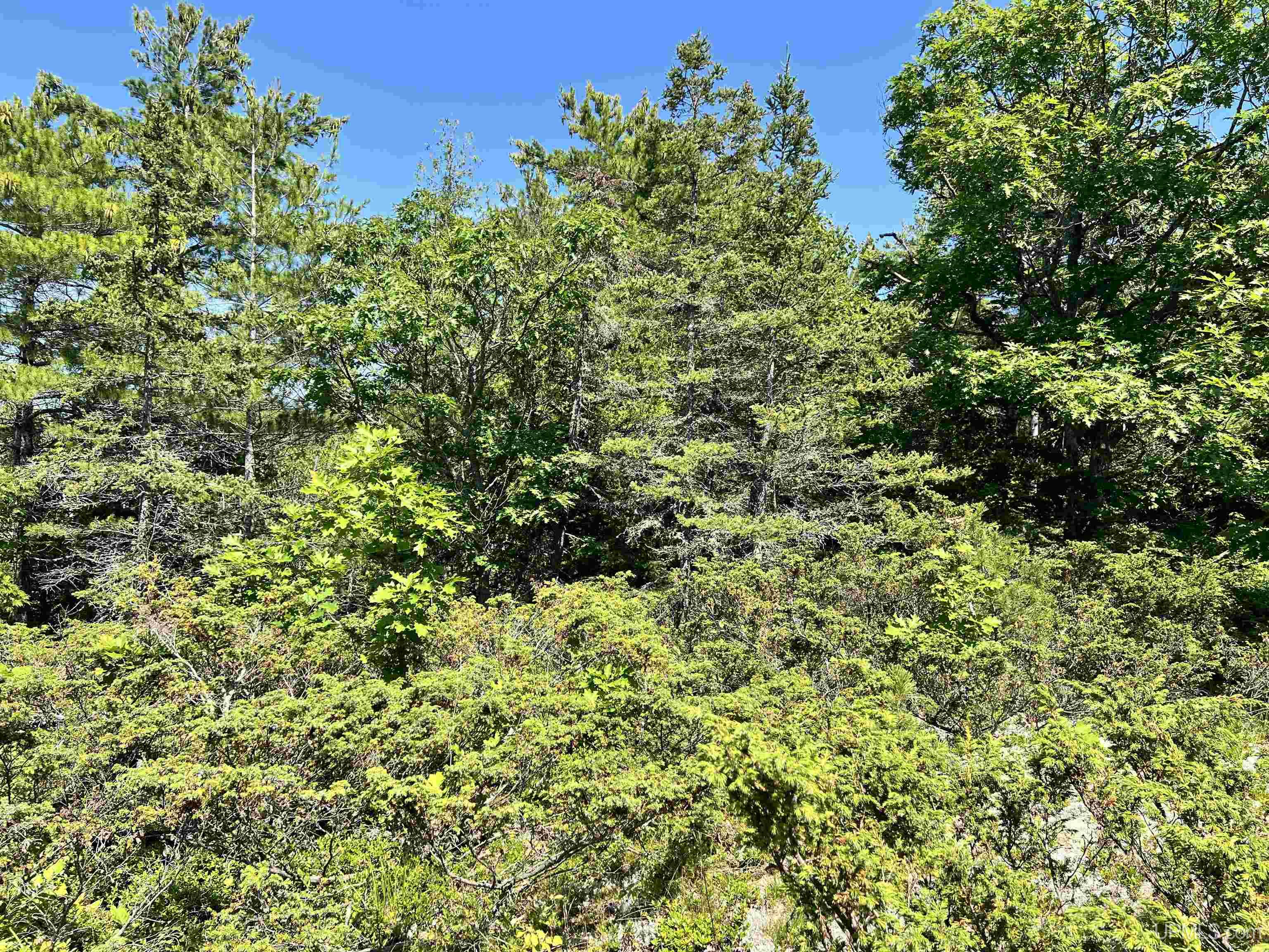 Tbd M26 Highway Property Photo 18