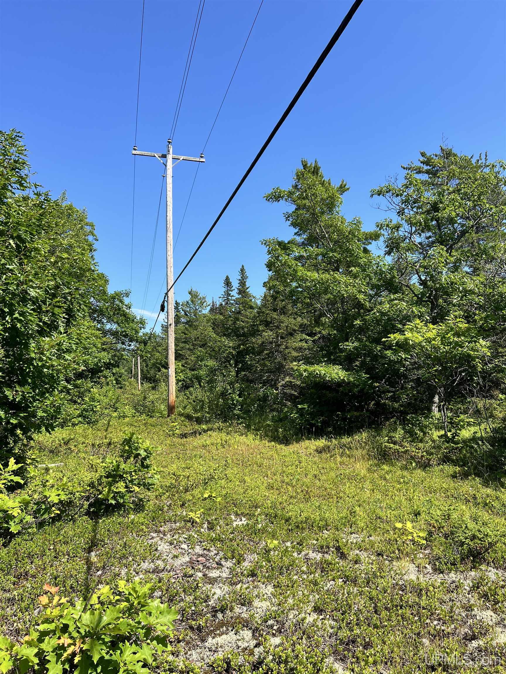 Tbd M26 Highway Property Photo 20