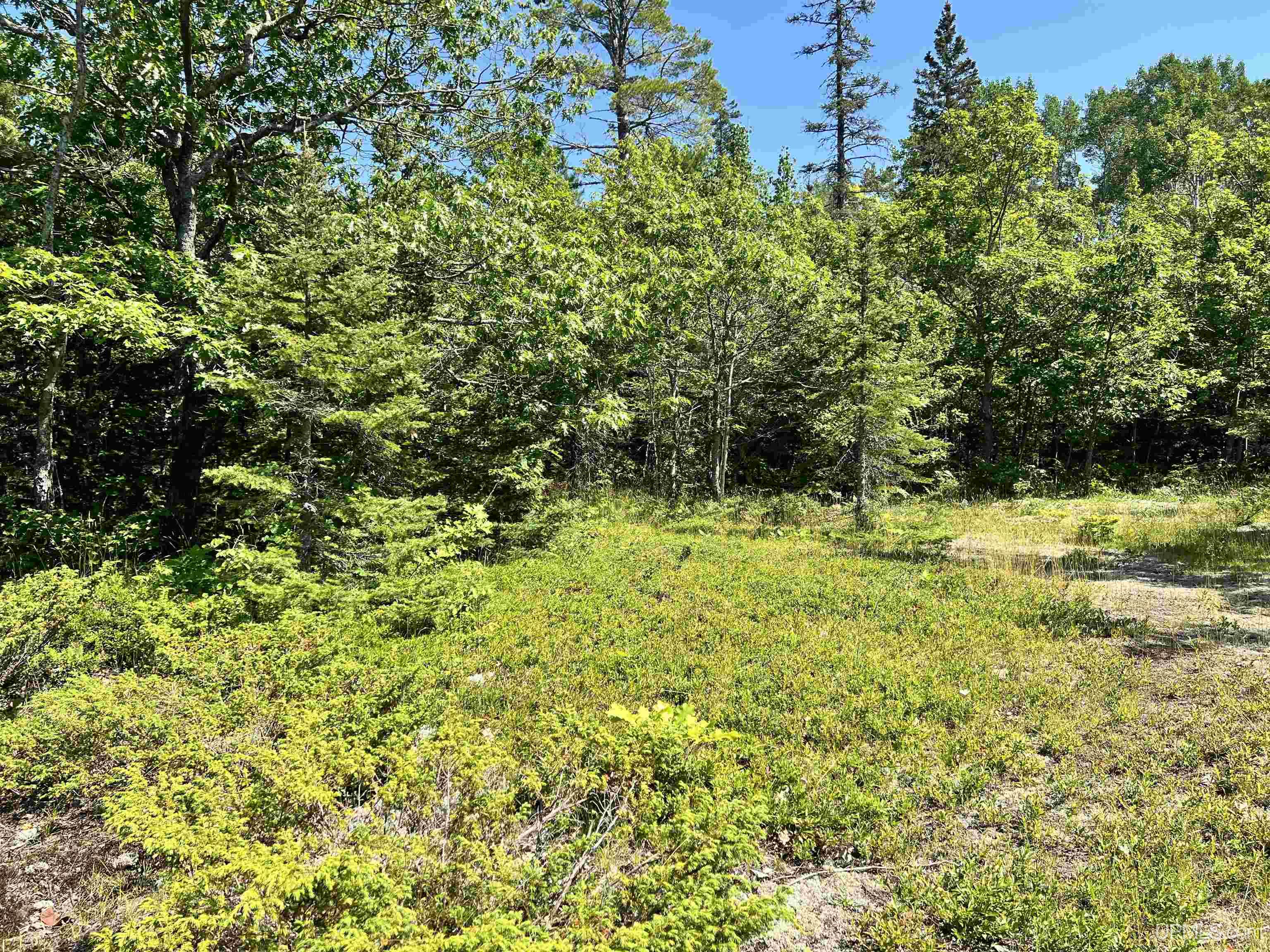 Tbd M26 Highway Property Photo 21