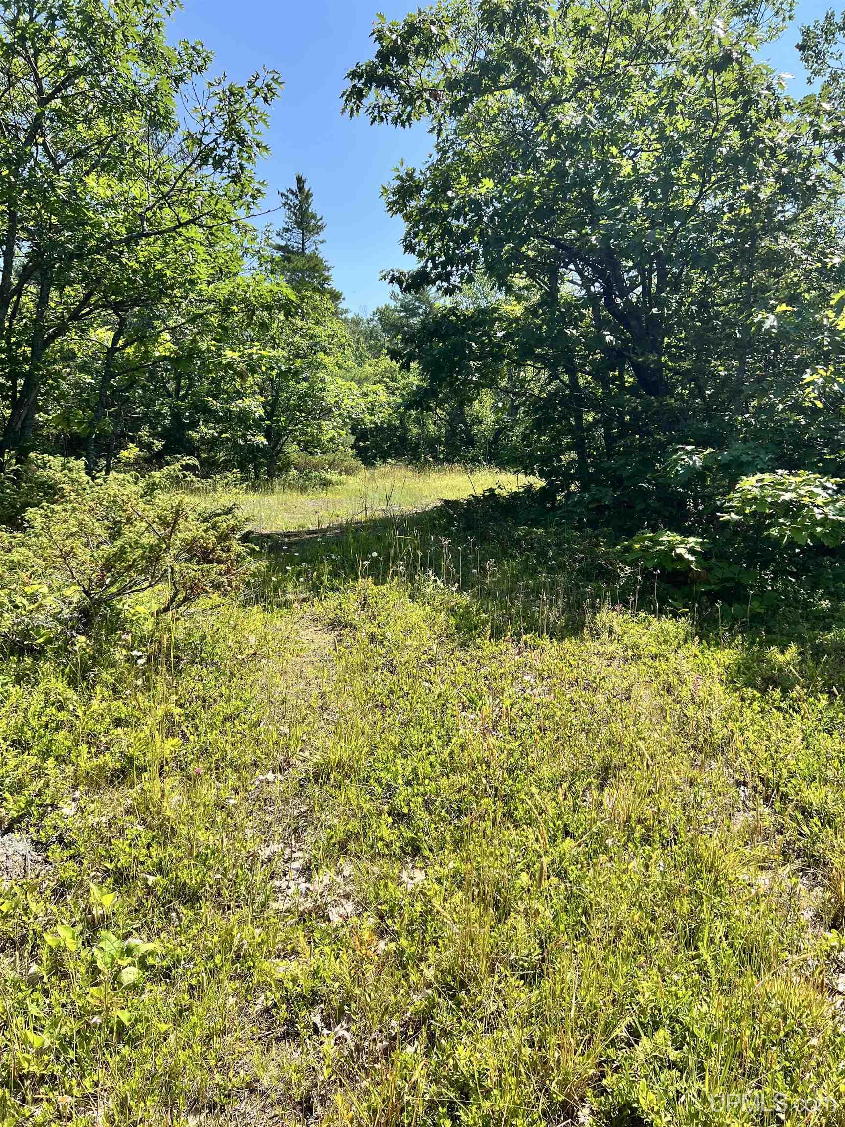 Tbd M26 Highway Property Photo 22