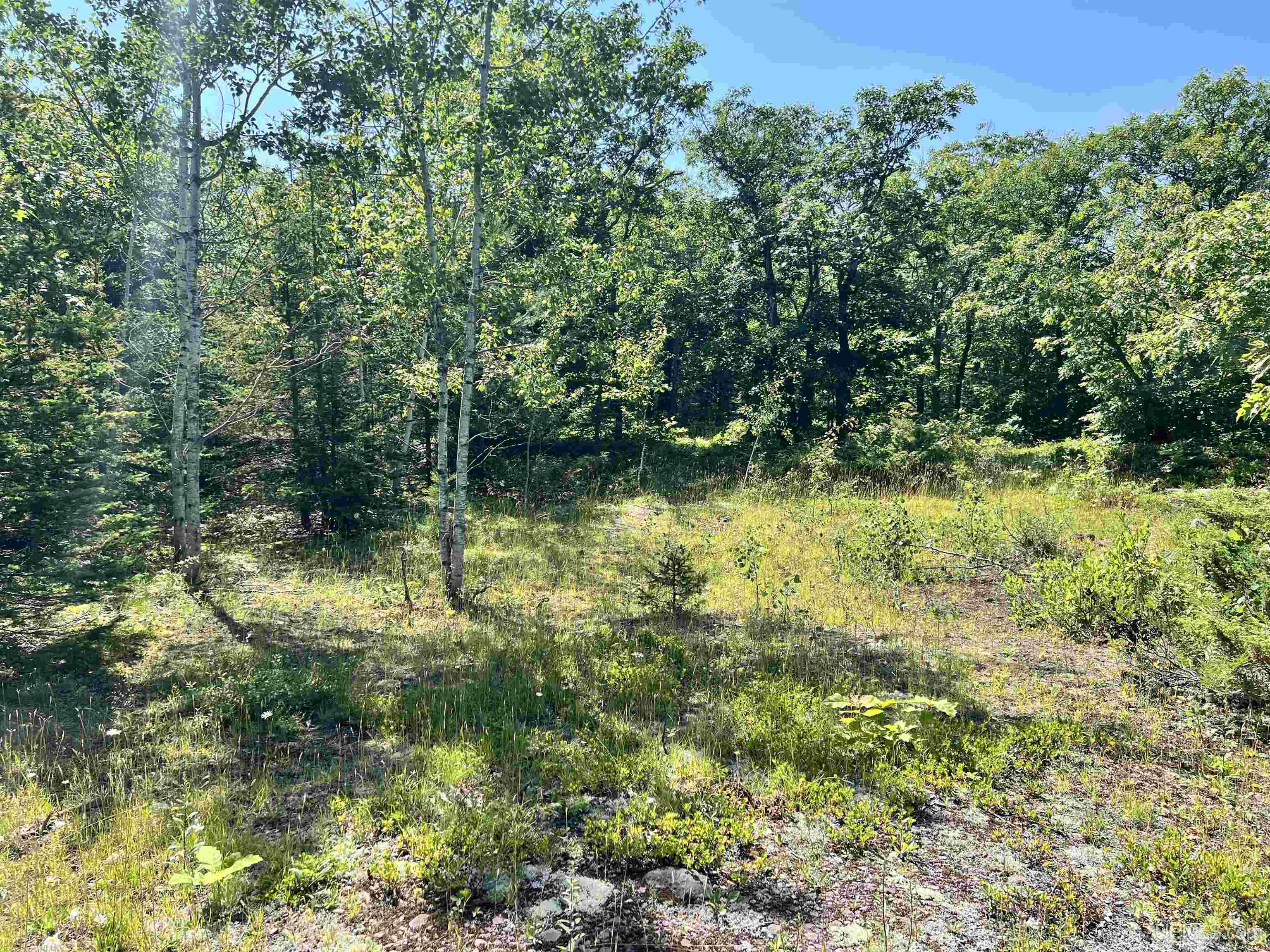 Tbd M26 Highway Property Photo 23