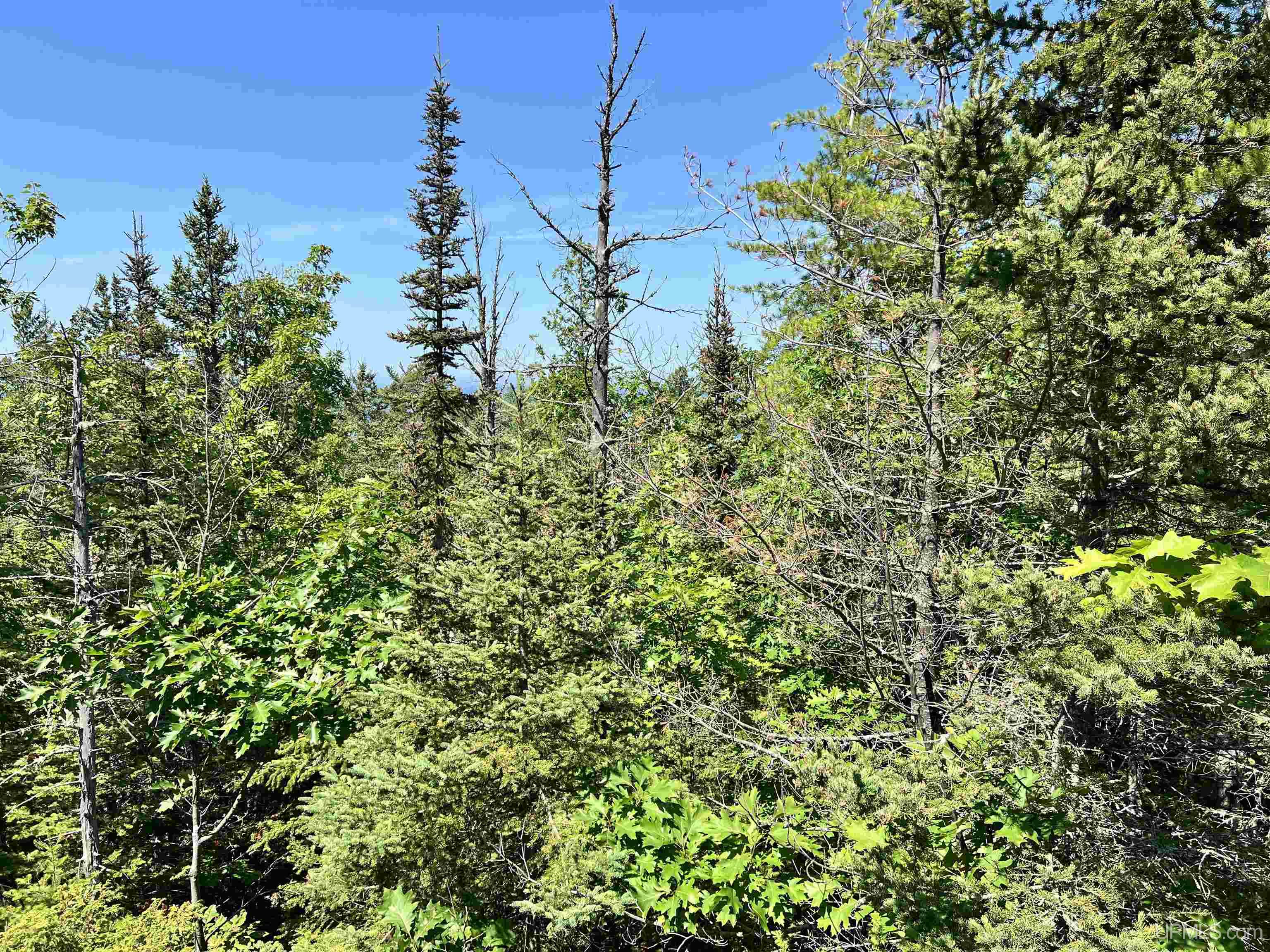 Tbd M26 Highway Property Photo 24