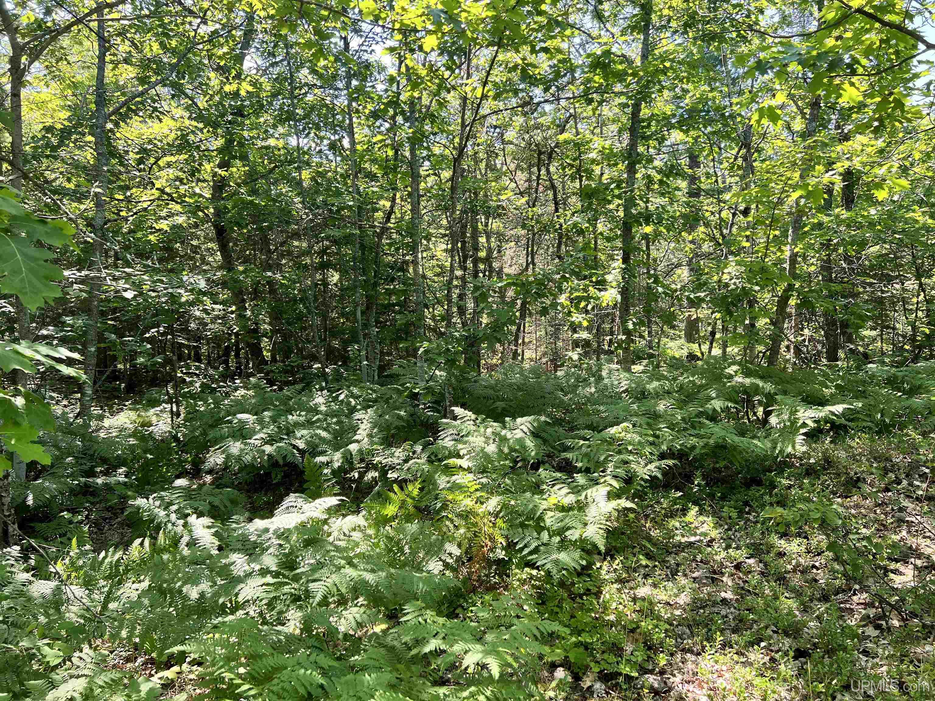 Tbd M26 Highway Property Photo 26
