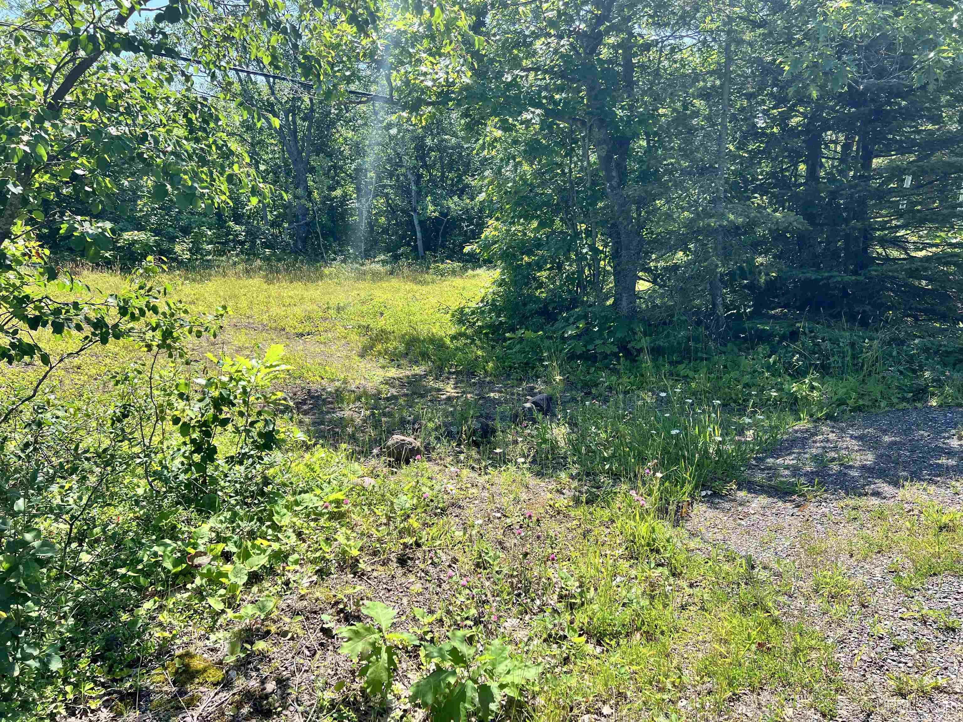 Tbd M26 Highway Property Photo 27
