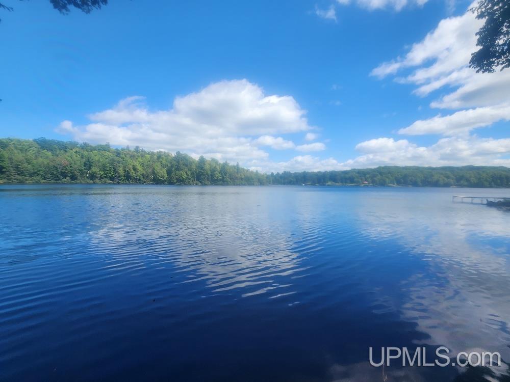 Tbd W Tamarack Lake Road Property Photo 1