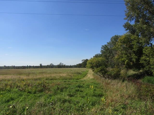 V/l Morrice Rd. Road Property Photo 1