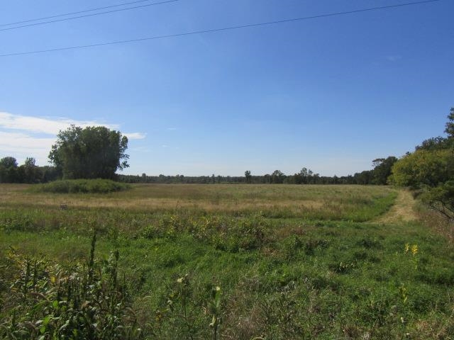 V/l Morrice Rd. Road Property Photo 2