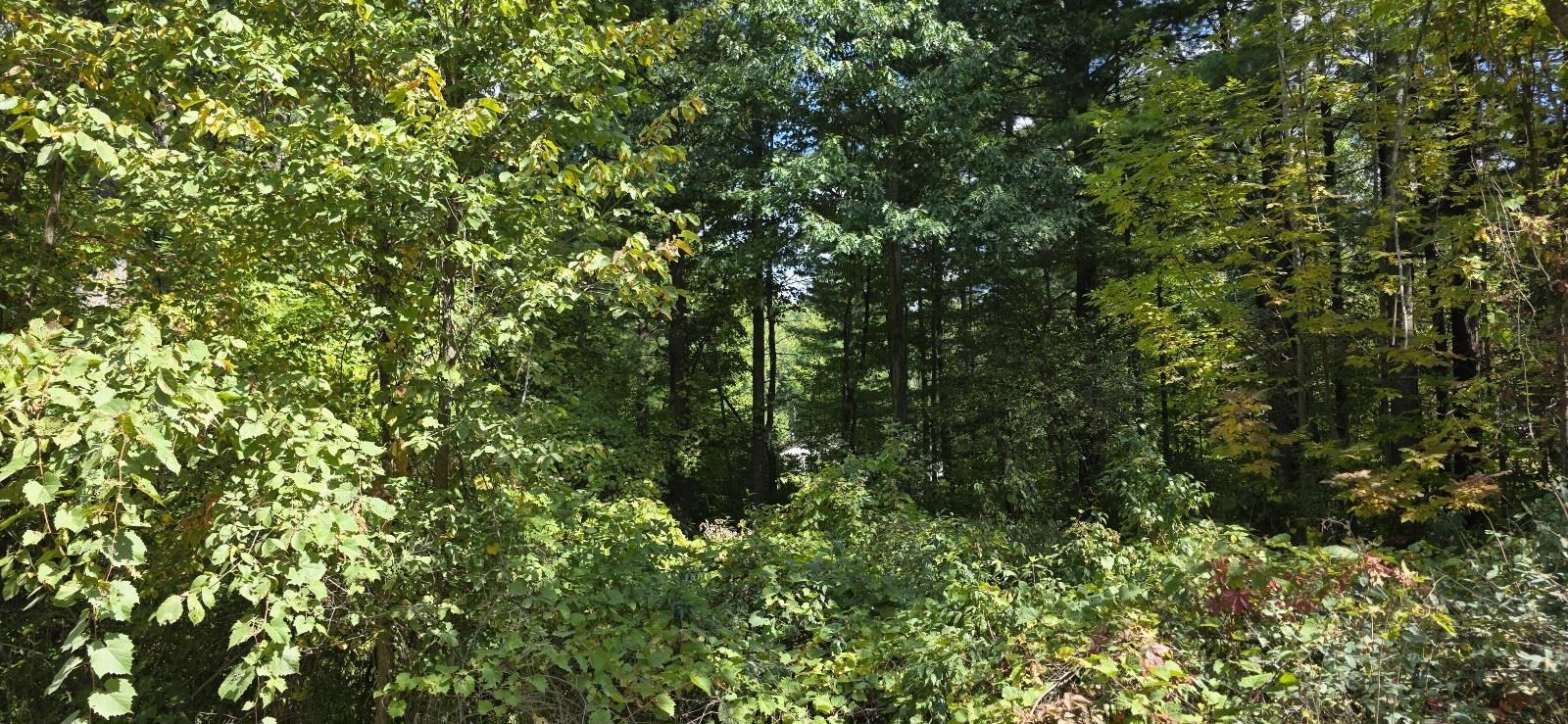 Lot 48 Blackberry Road Property Photo 2