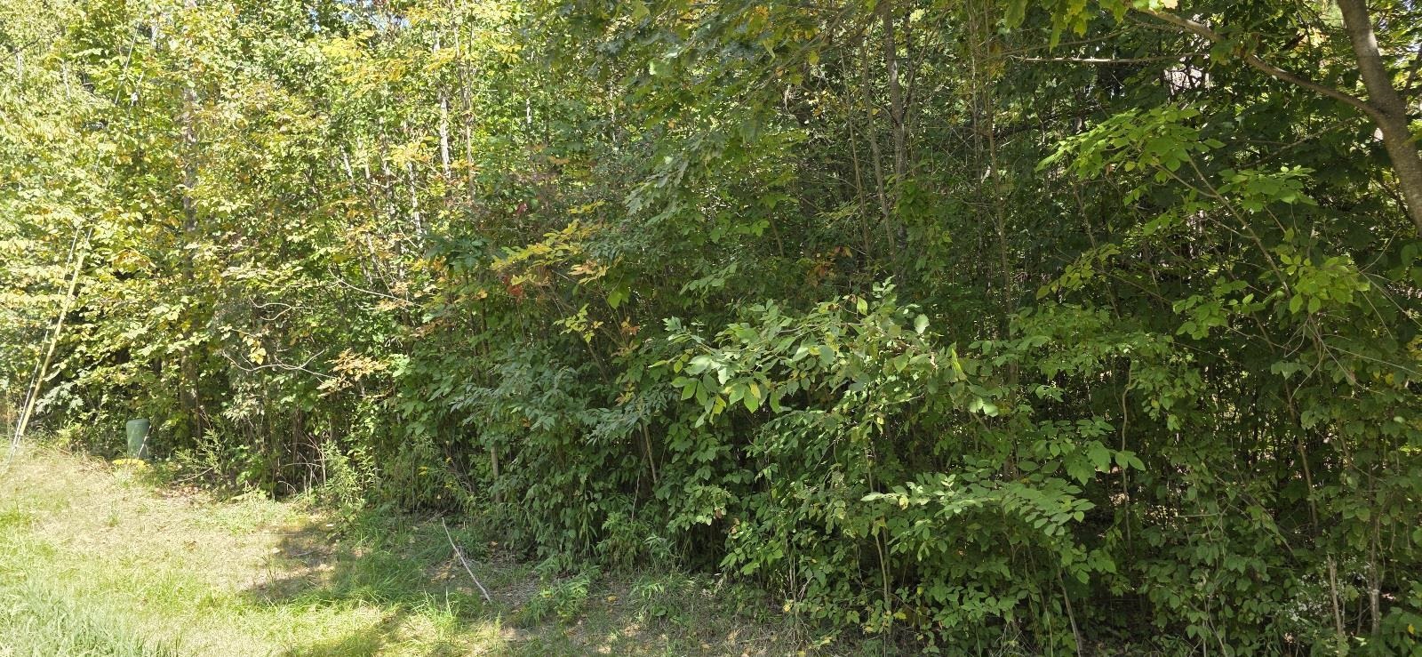 Lot 48 Blackberry Road Property Photo 3