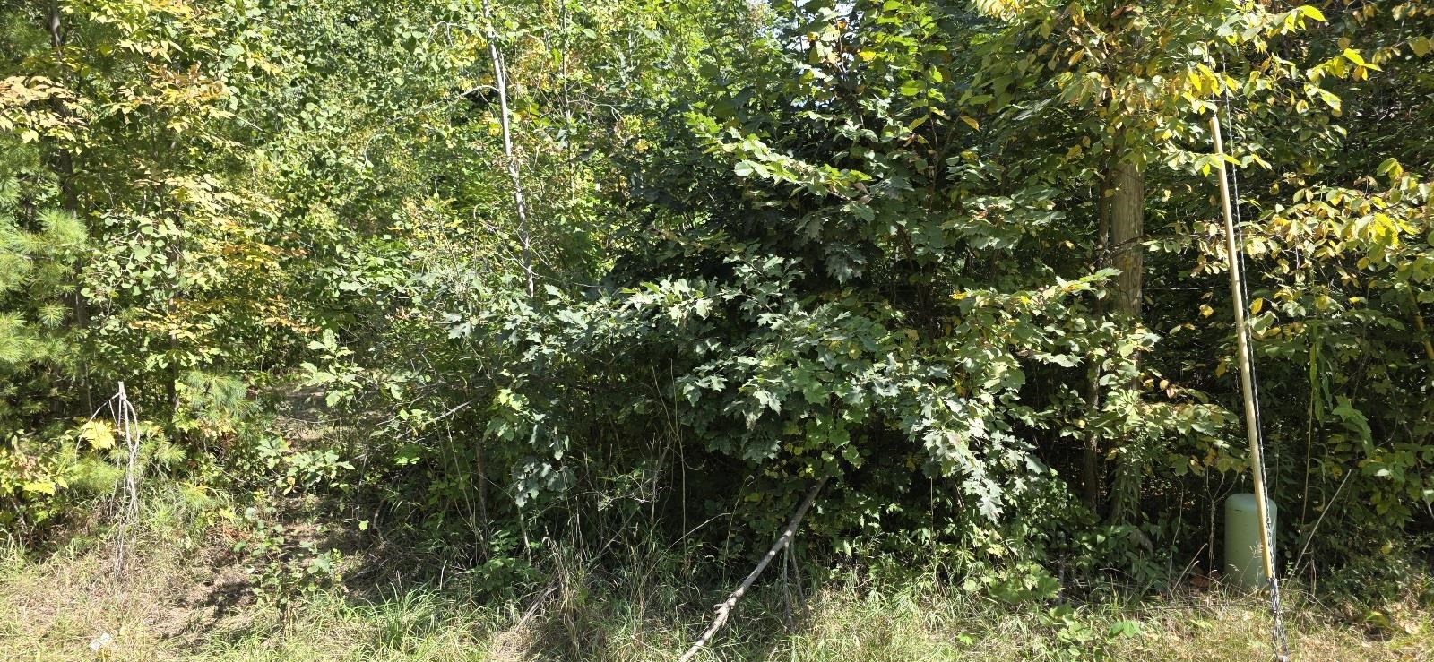Lot 48 Blackberry Road Property Photo 4