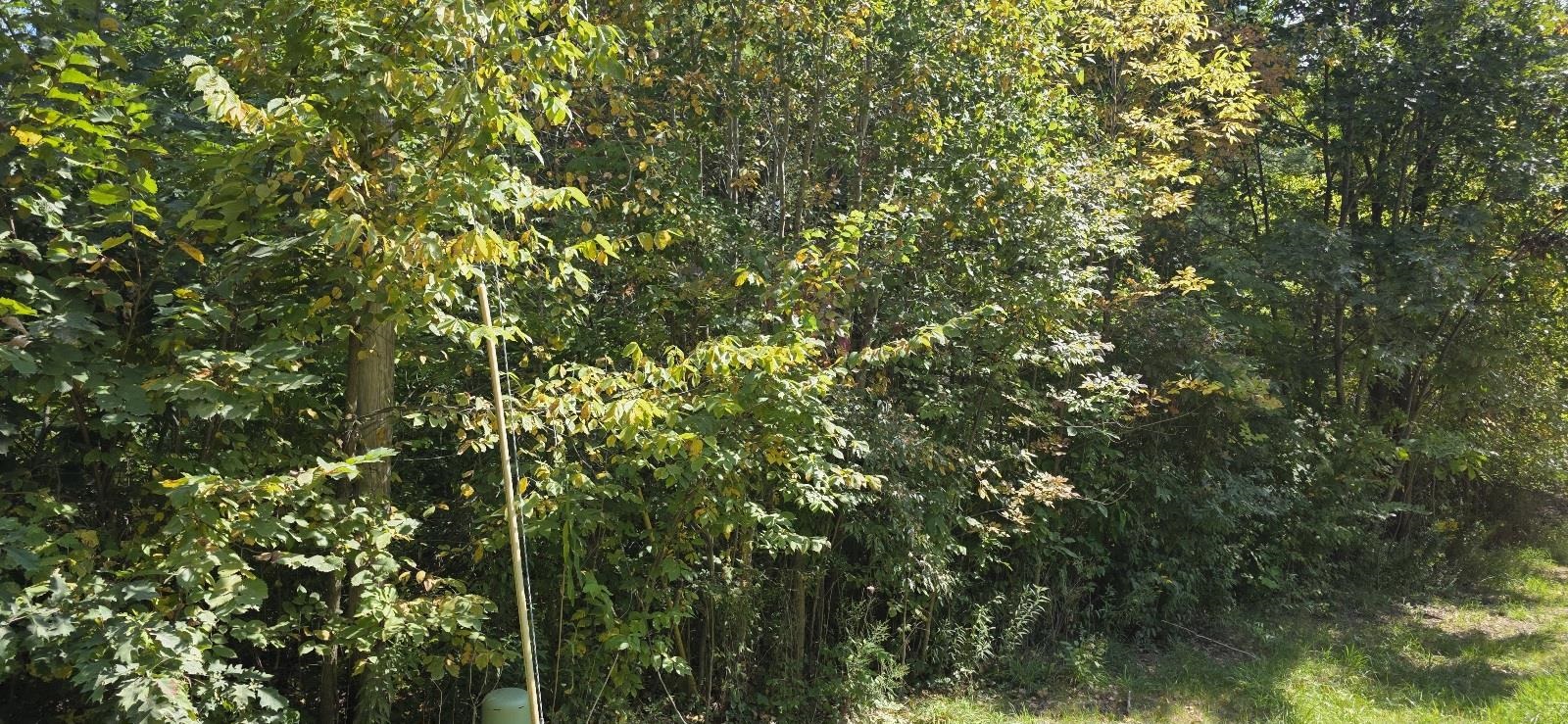Lot 48 Blackberry Road Property Photo 5