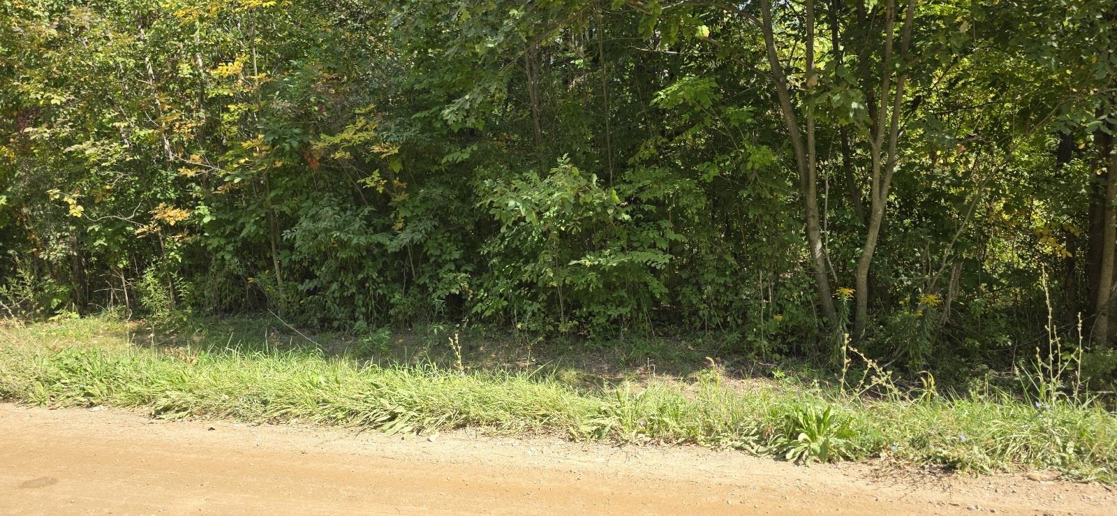 Lot 48 Blackberry Road Property Photo 6