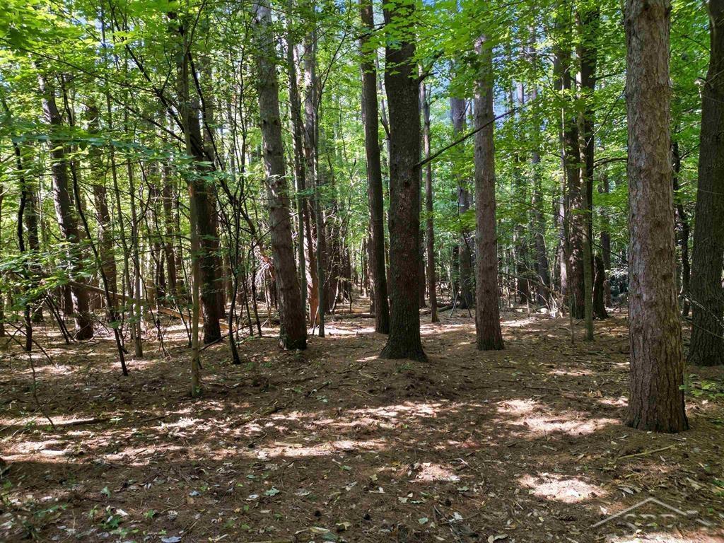 Vl Sandy Ridge Drive Property Photo 9