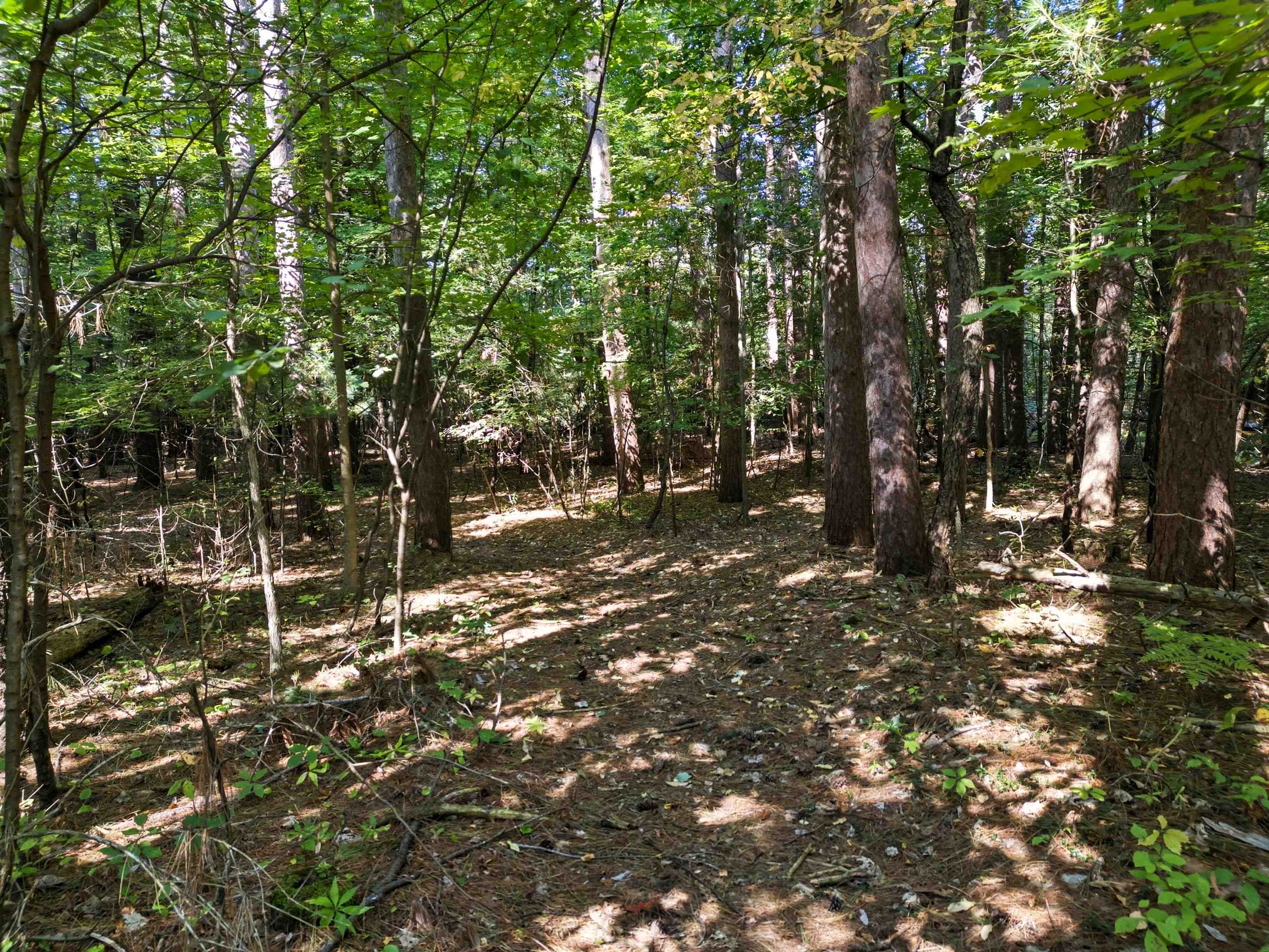 Vl Sandy Ridge Drive Property Photo 8