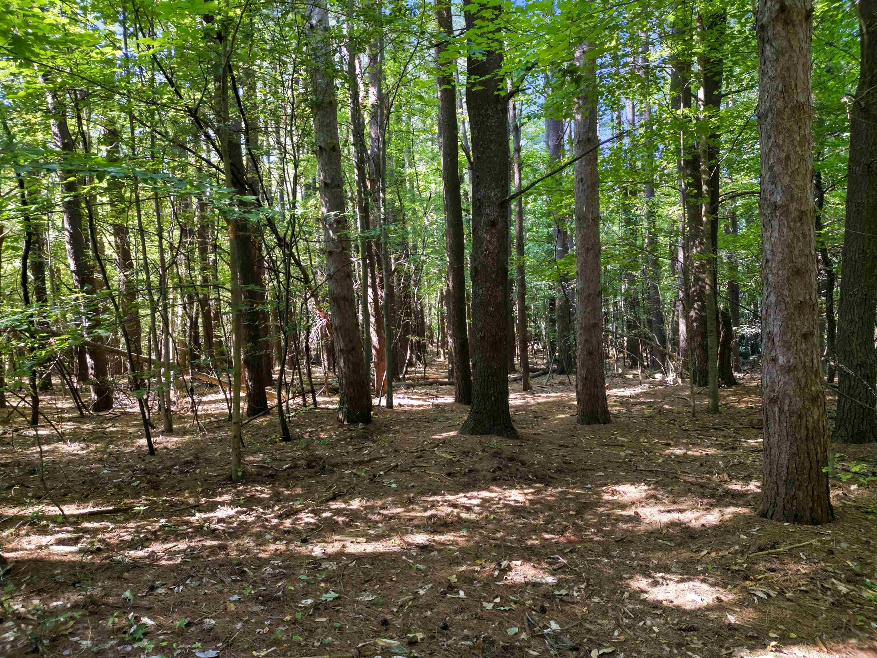 Vl Sandy Ridge Drive Property Photo 9