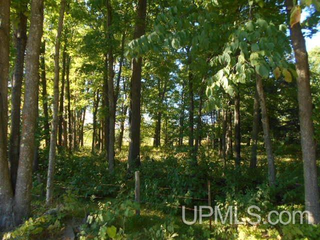 Tbd Fire Lake Road Property Photo 1