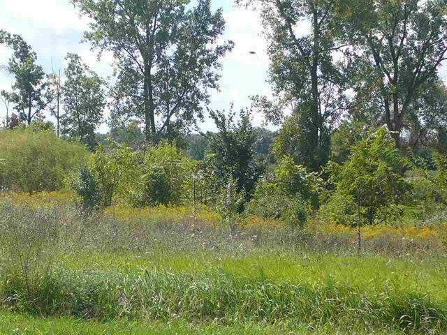 4235 Cahokia Ridge Property Photo 2